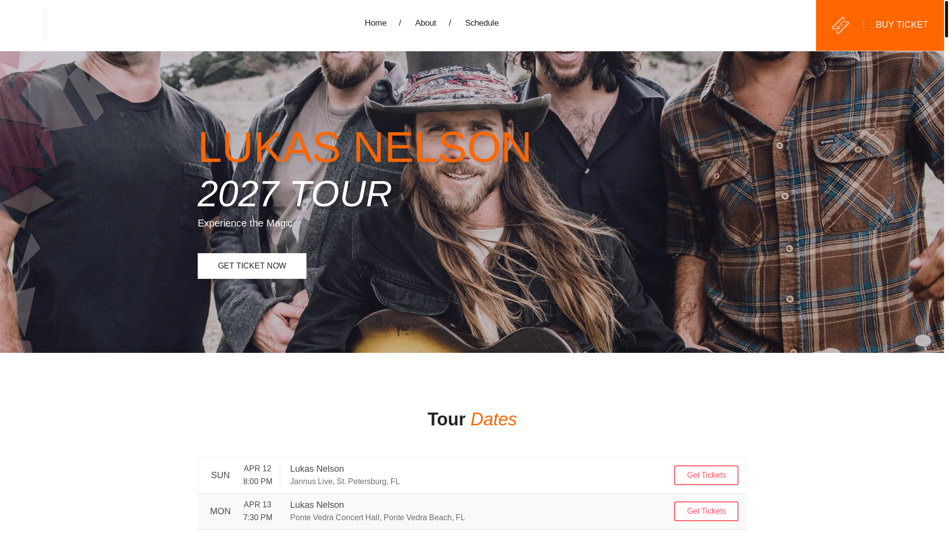 website screenshot of https://lukasnelsontour2027.us/