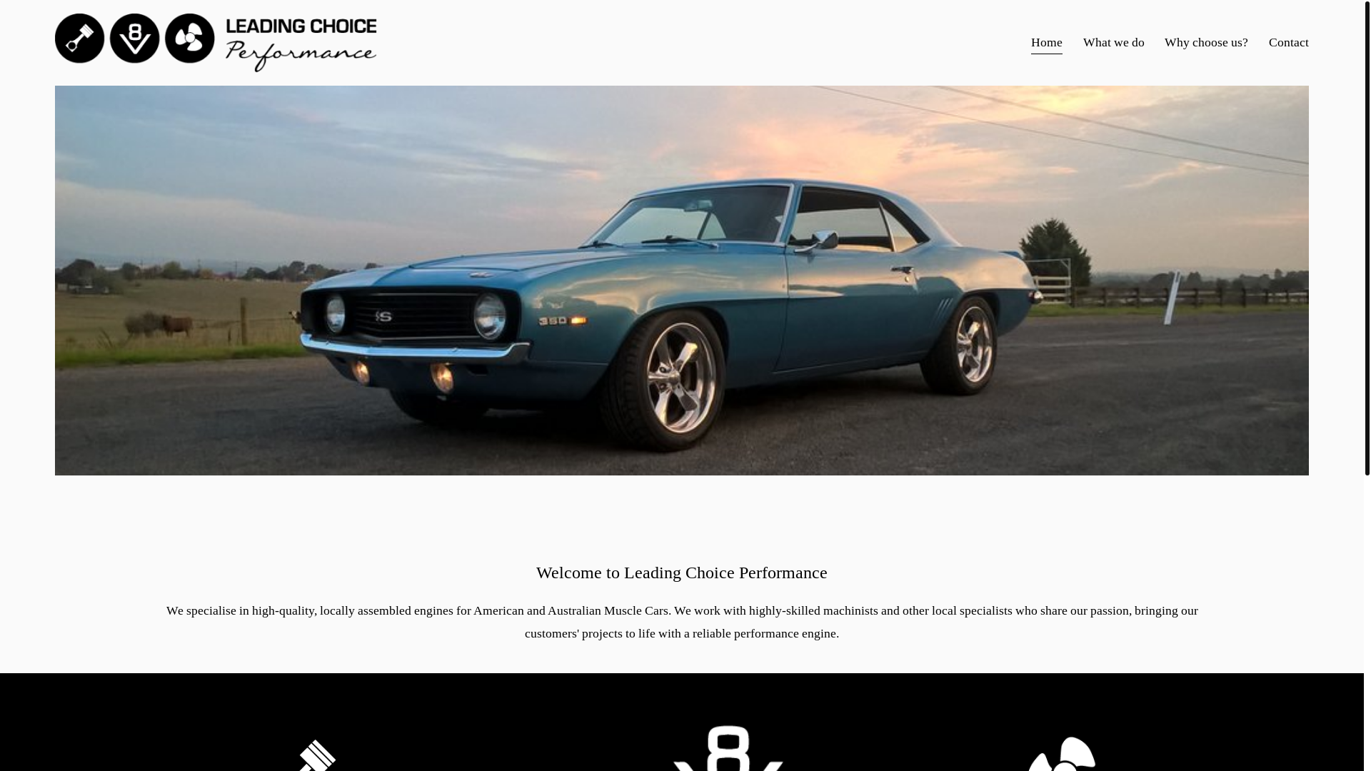 website screenshot of https://leadingchoiceperformance.online/