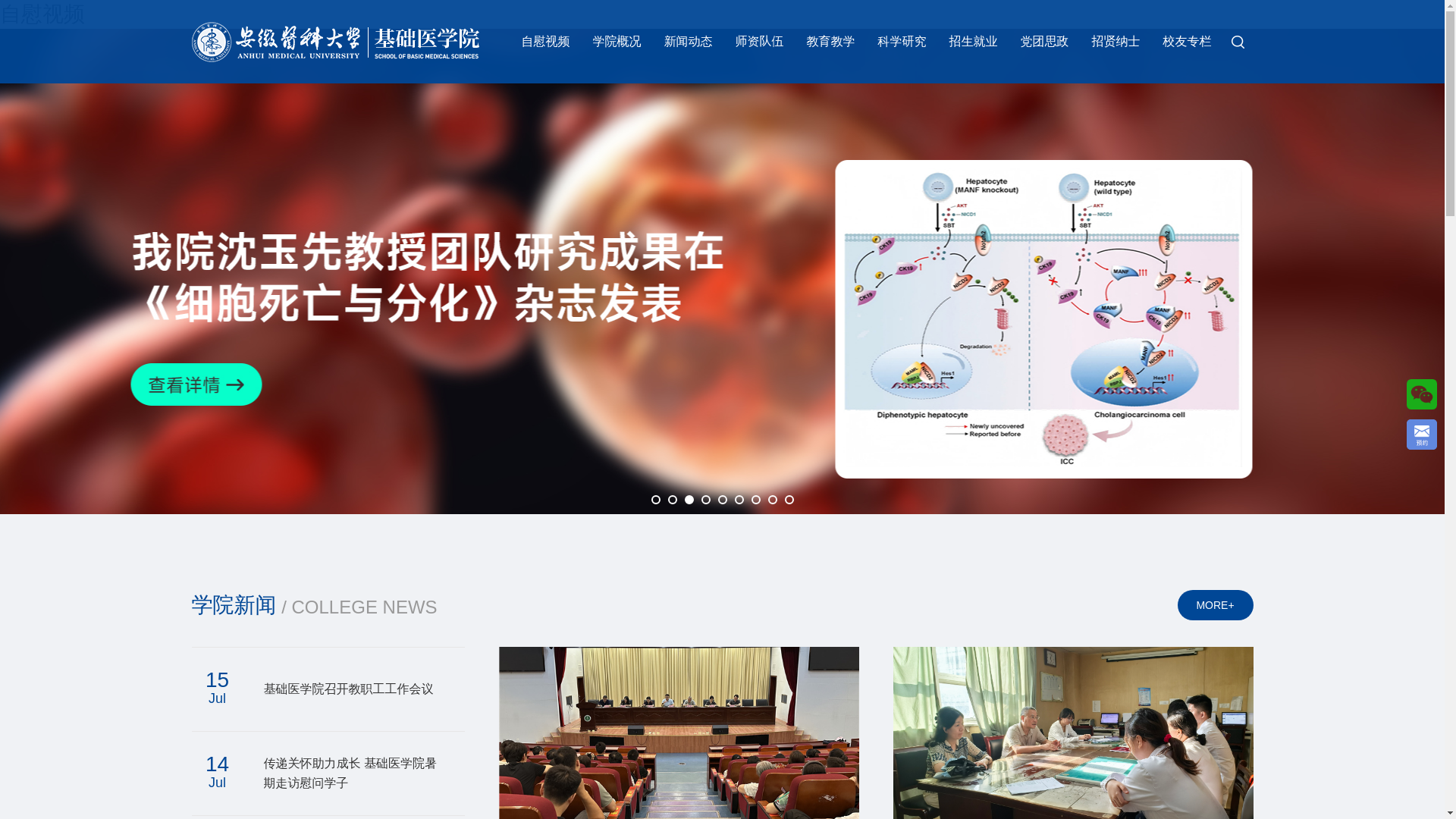 website screenshot of https://ziweishipin.org/