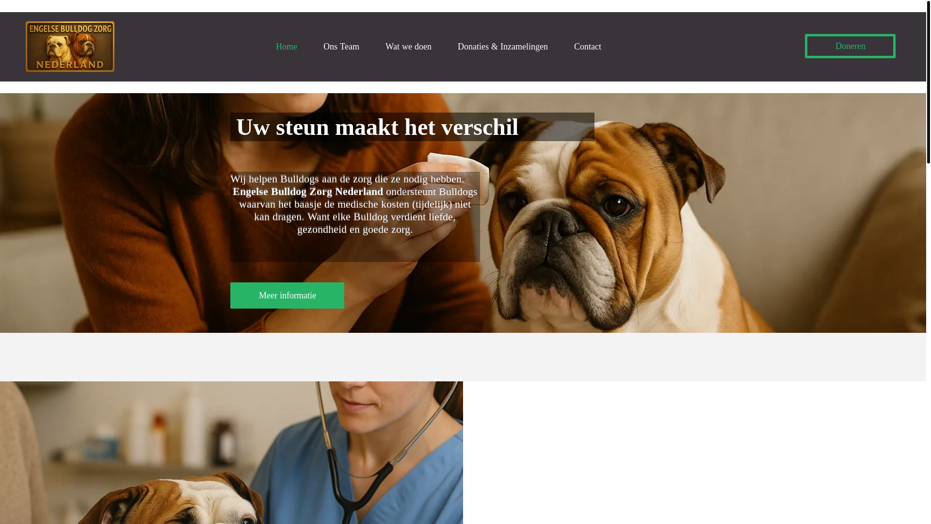 website screenshot of https://engelsebulldogzorgnederland.nl/