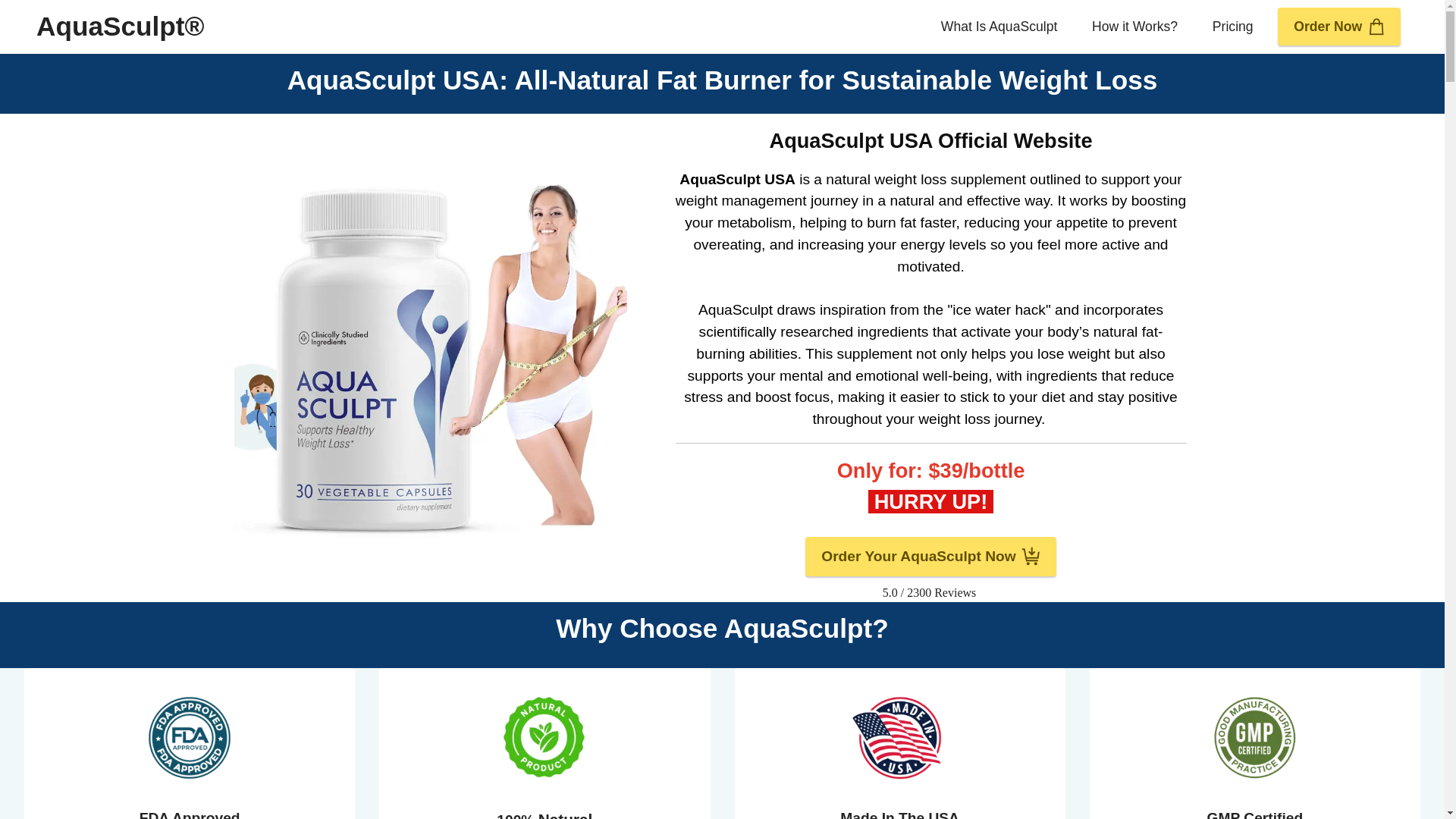 website screenshot of https://en-usa--aquasculpt.com/