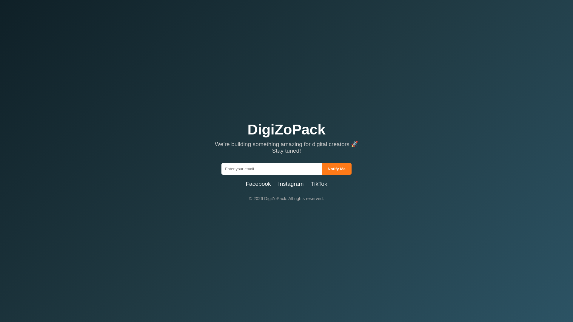 website screenshot of https://digizopack.com/