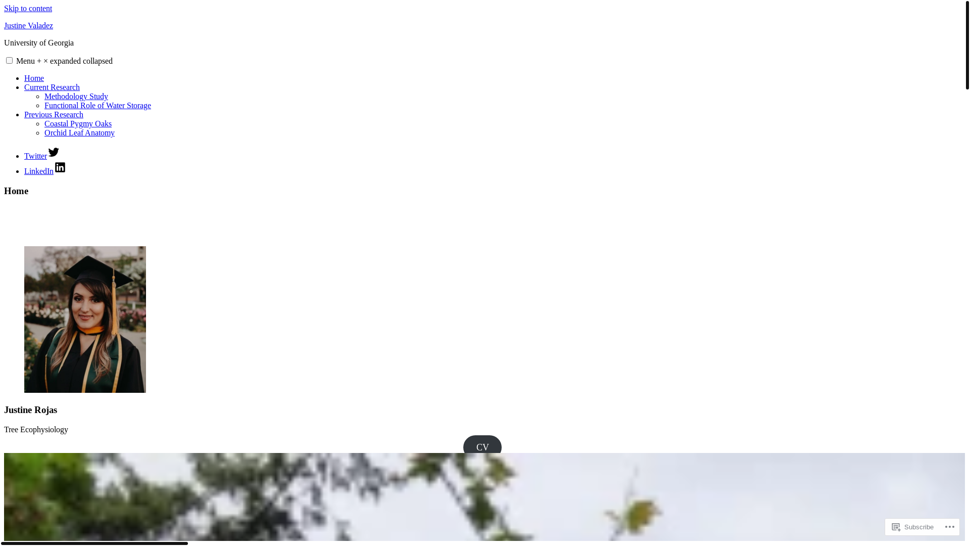 website screenshot of https://justinerojas.com/