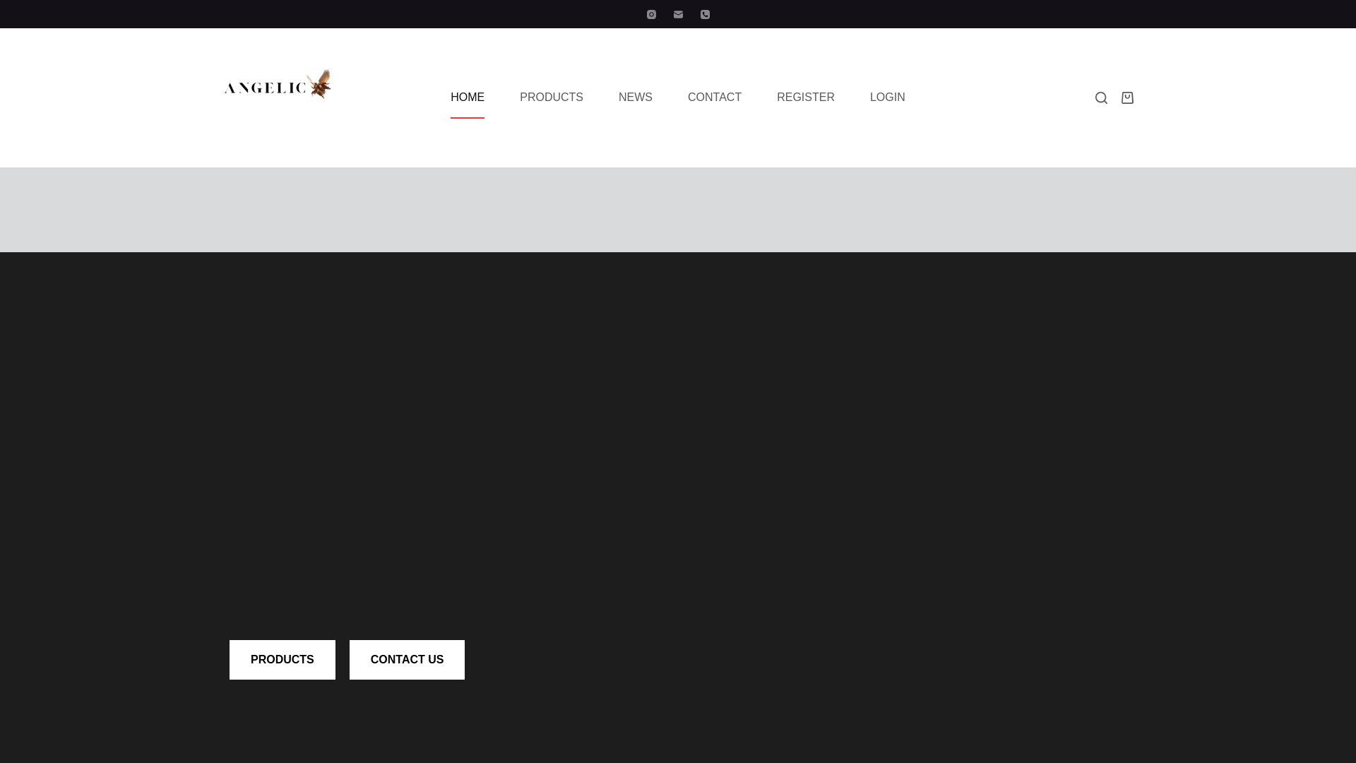 website screenshot of https://angelicjesusbrand.com/