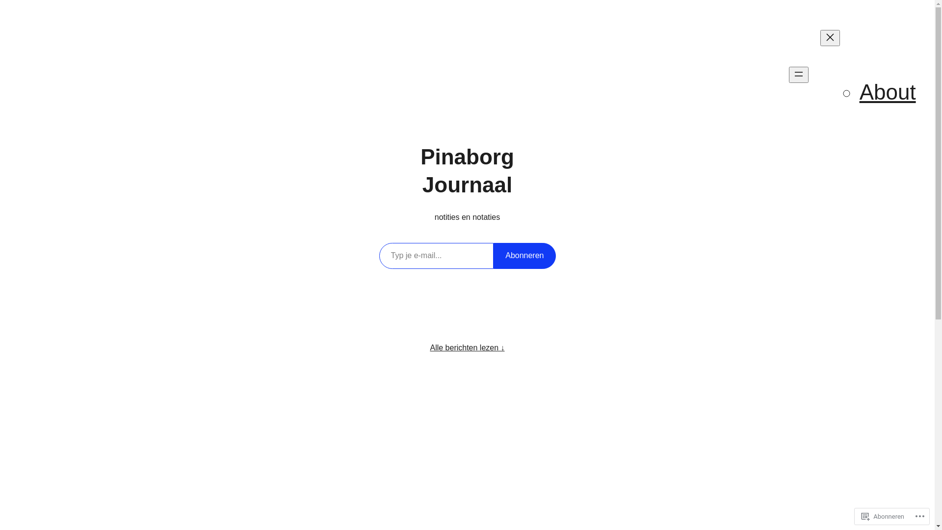 website screenshot of https://pinaborgjournaal.blog/