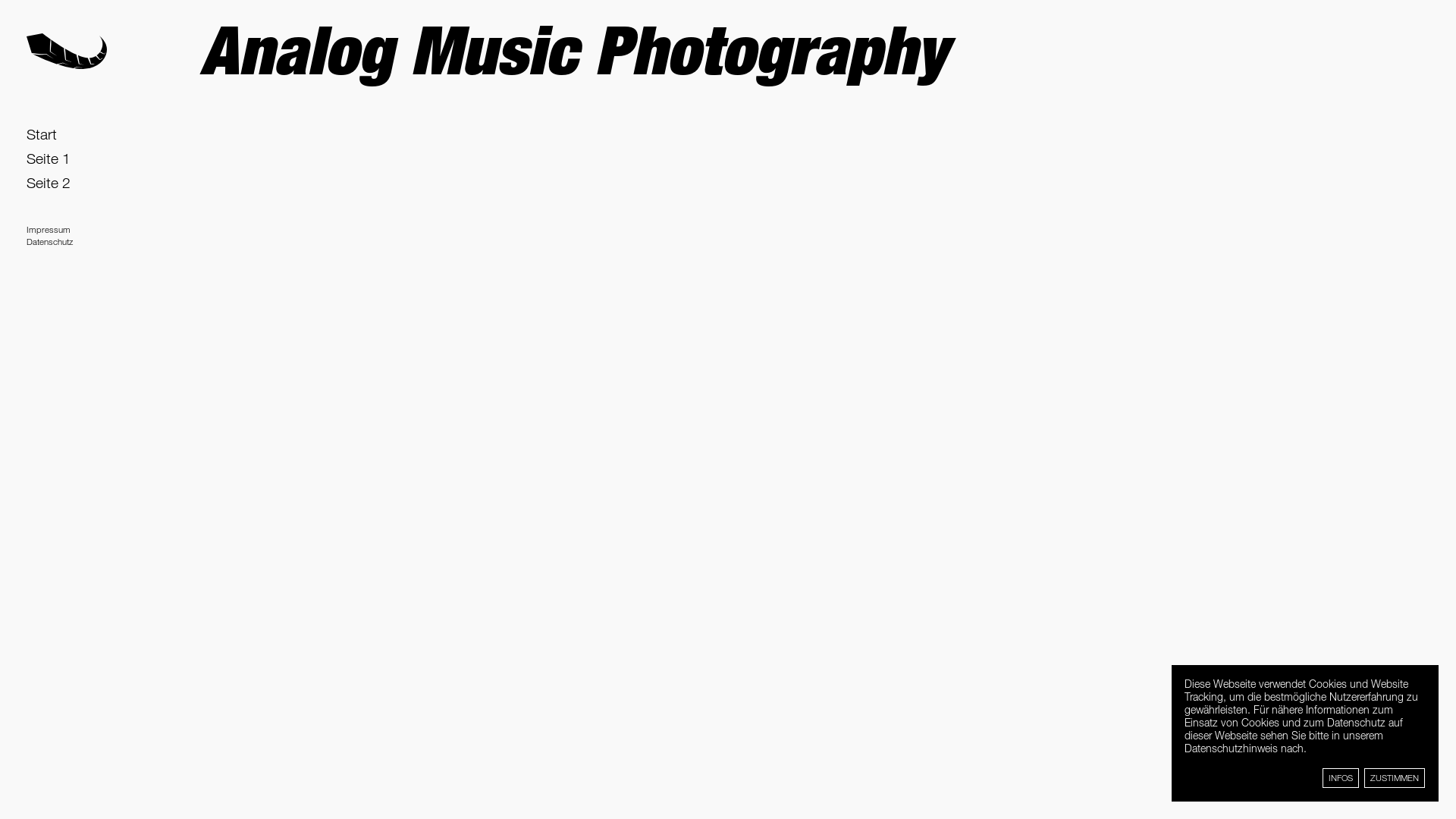 website screenshot of https://analog-music-photography.de/