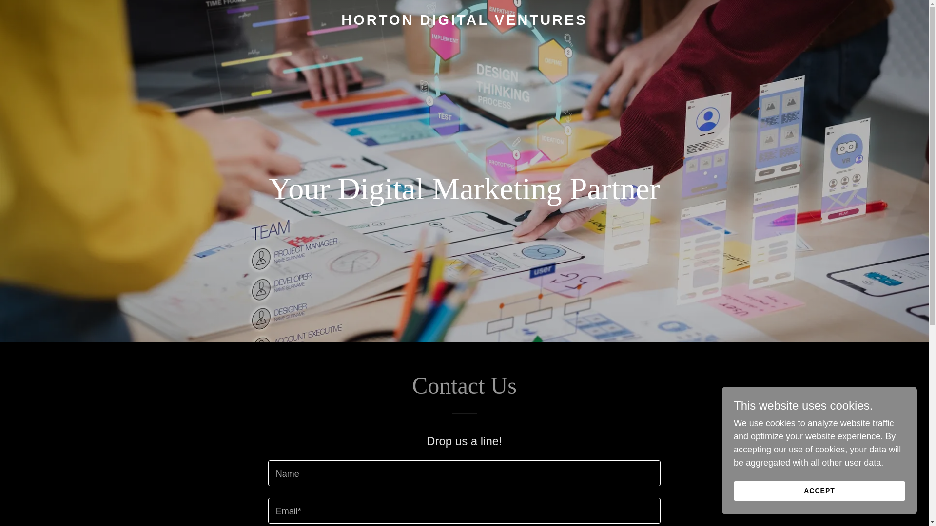 website screenshot of https://hortondigitalventures.com/