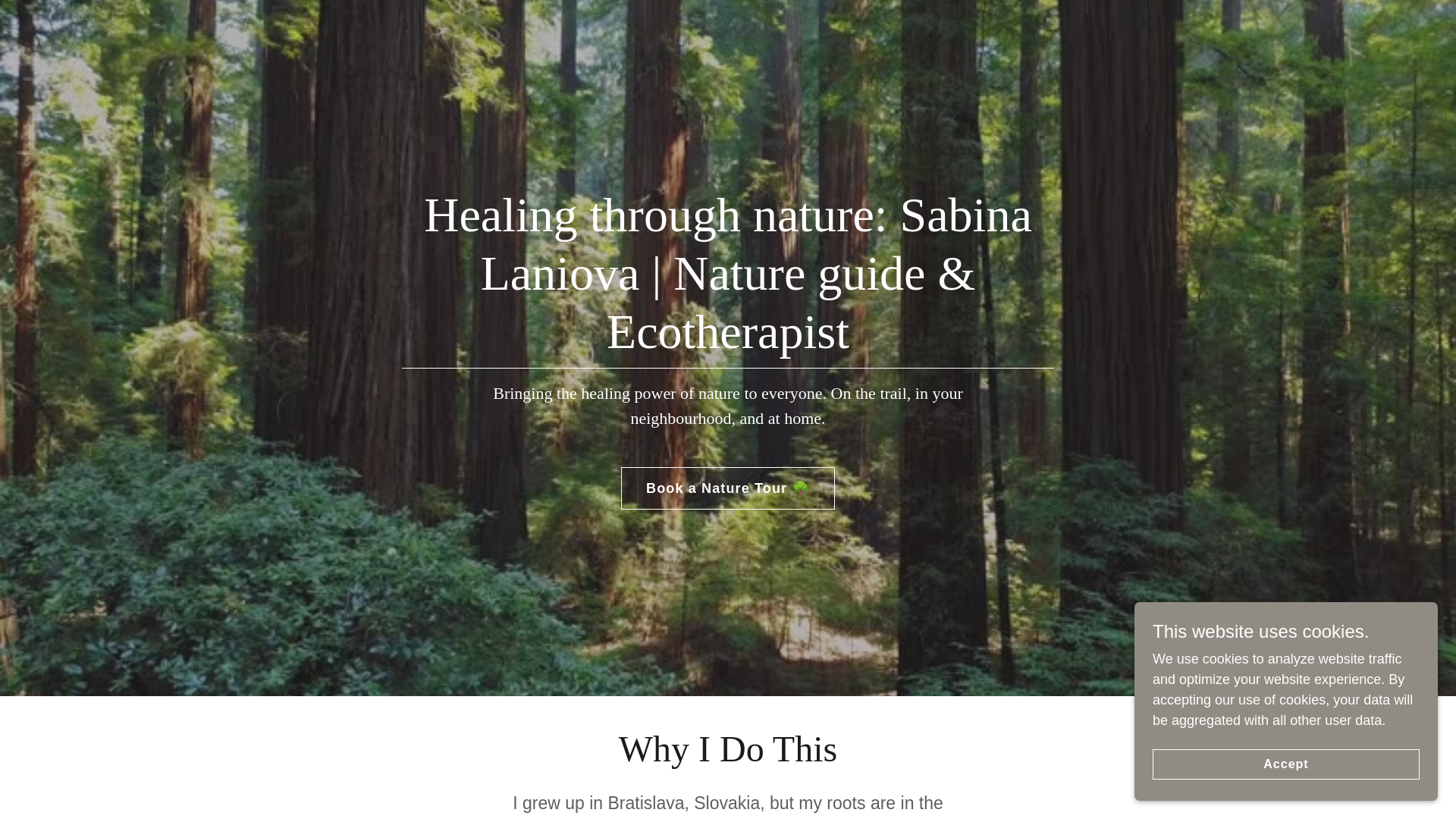 website screenshot of https://sabinalaniova.com.au/