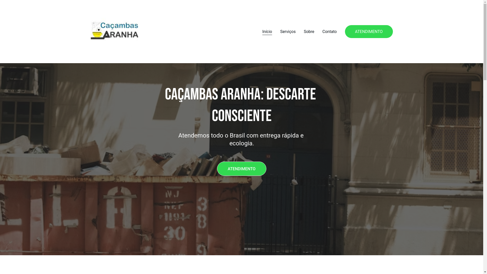 website screenshot of https://cacambasaranha.site/