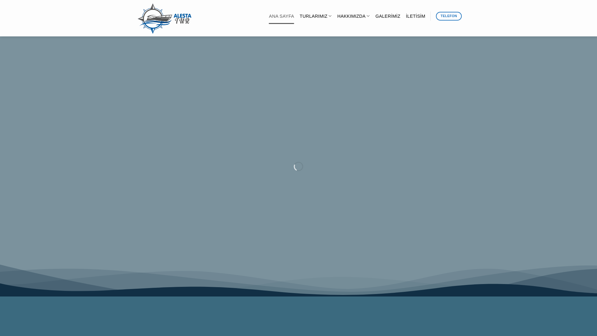 website screenshot of https://spiritedsmiles.lol