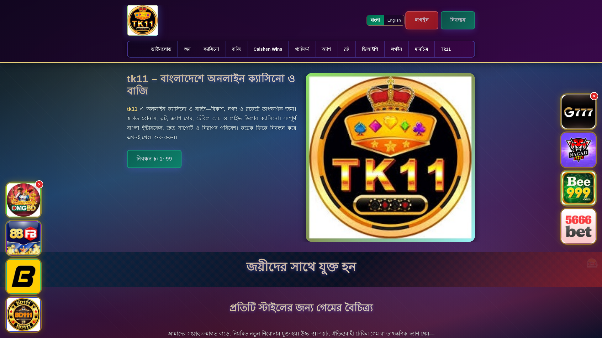 website screenshot of https://tk11ek.com/
