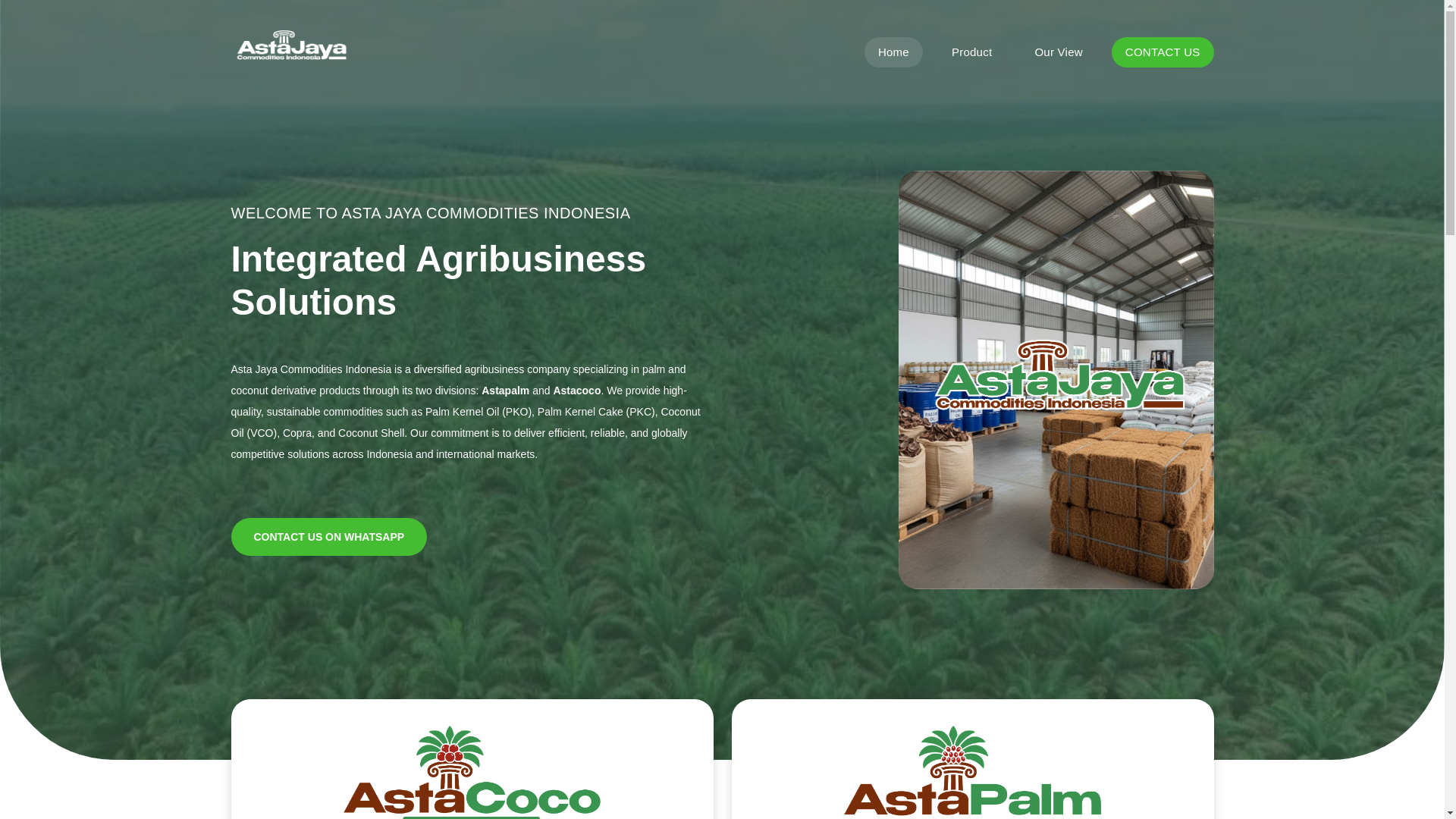 website screenshot of https://astajayaco.web.id/