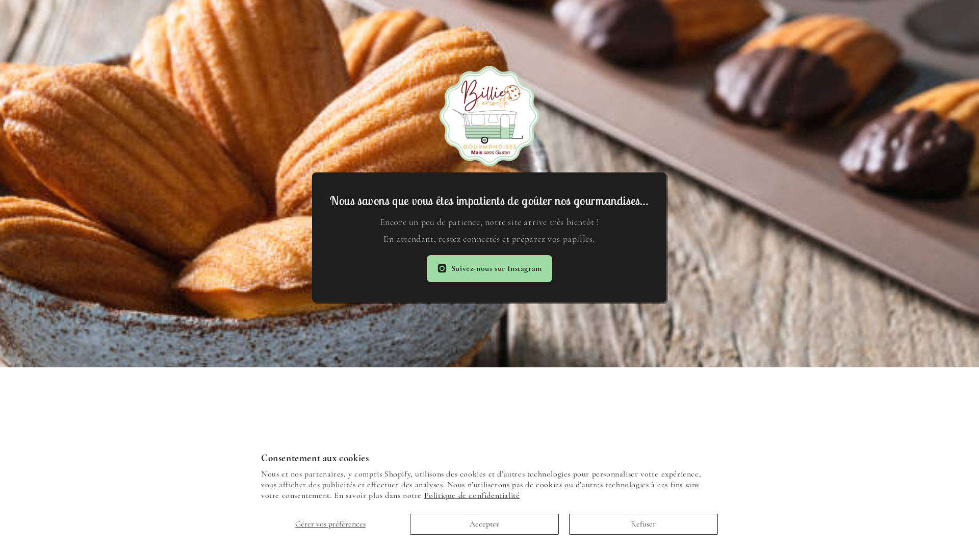 website screenshot of https://billielamorette.com/