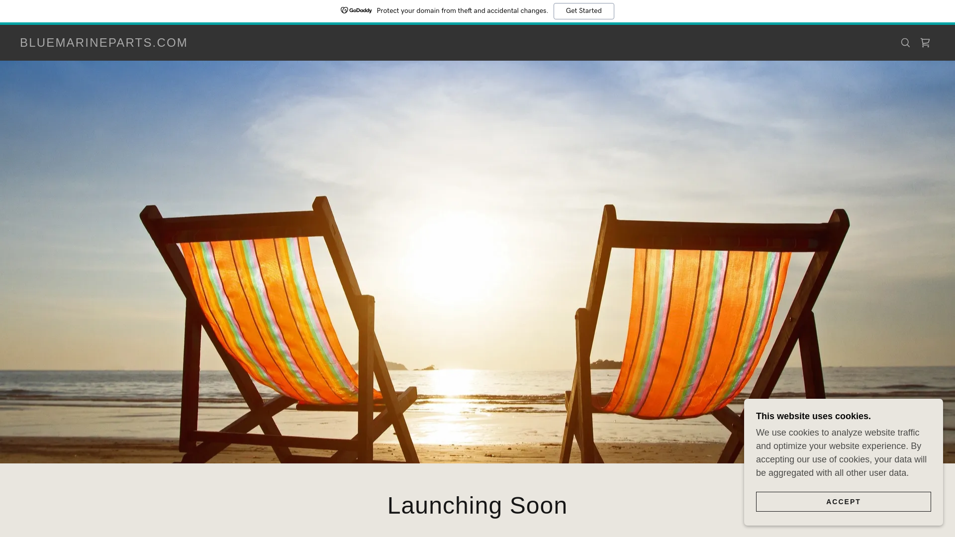 website screenshot of https://bluemarineparts.com/