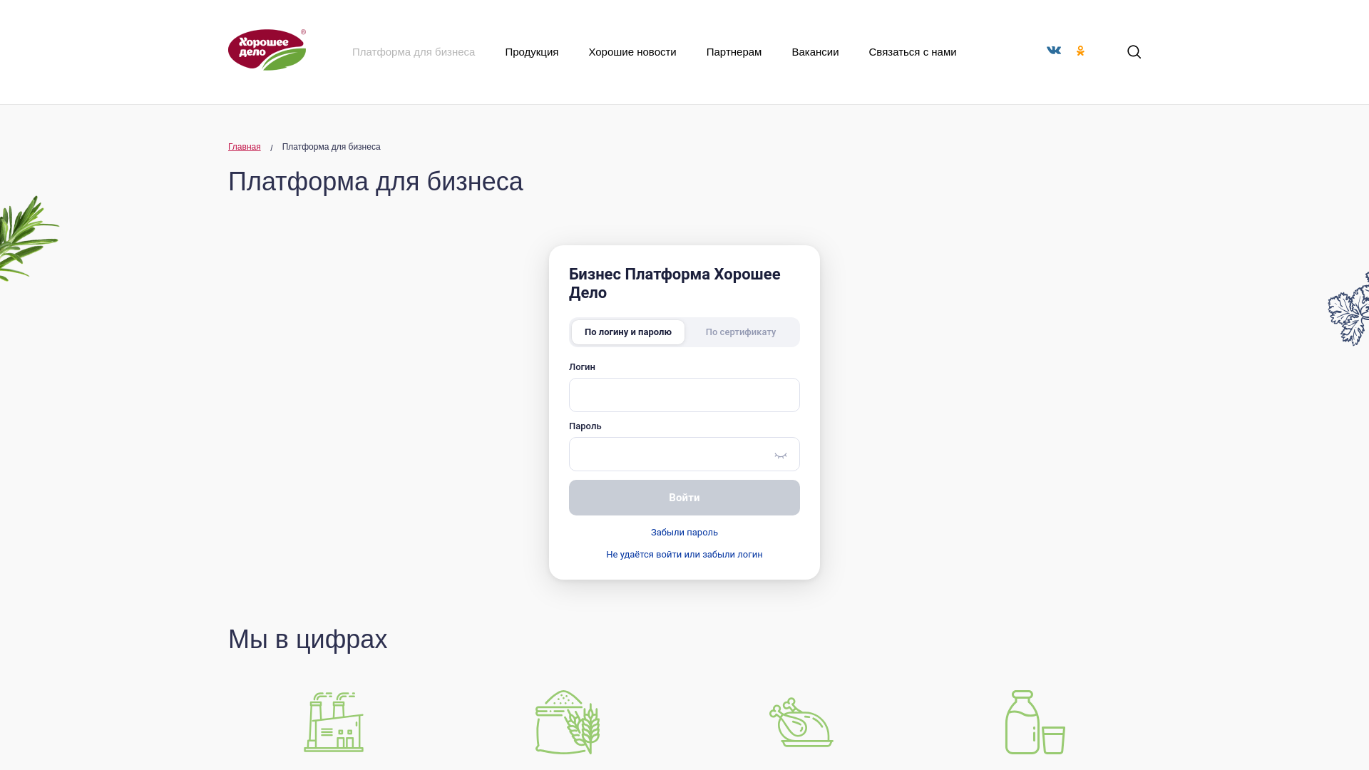 website screenshot of https://hordelo-b2b.ru/
