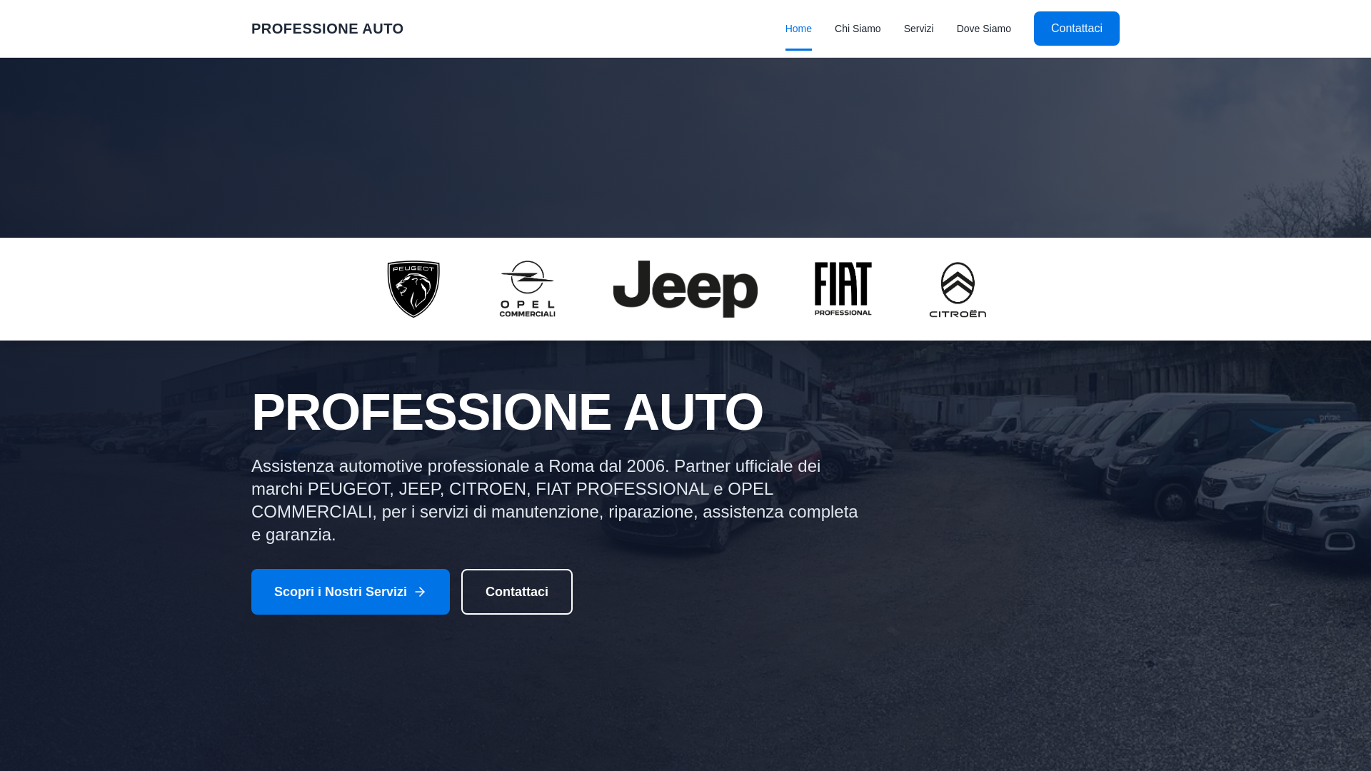 website screenshot of https://professione-auto.pro