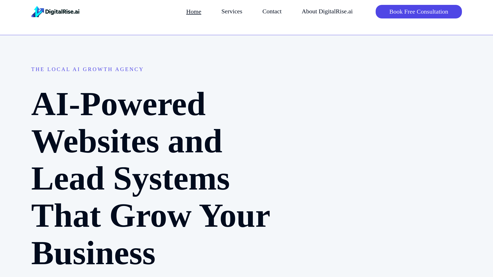 website screenshot of https://digitalrise.ai/