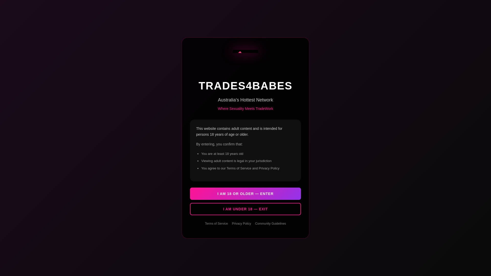 website screenshot of https://trades4babes.com.au
