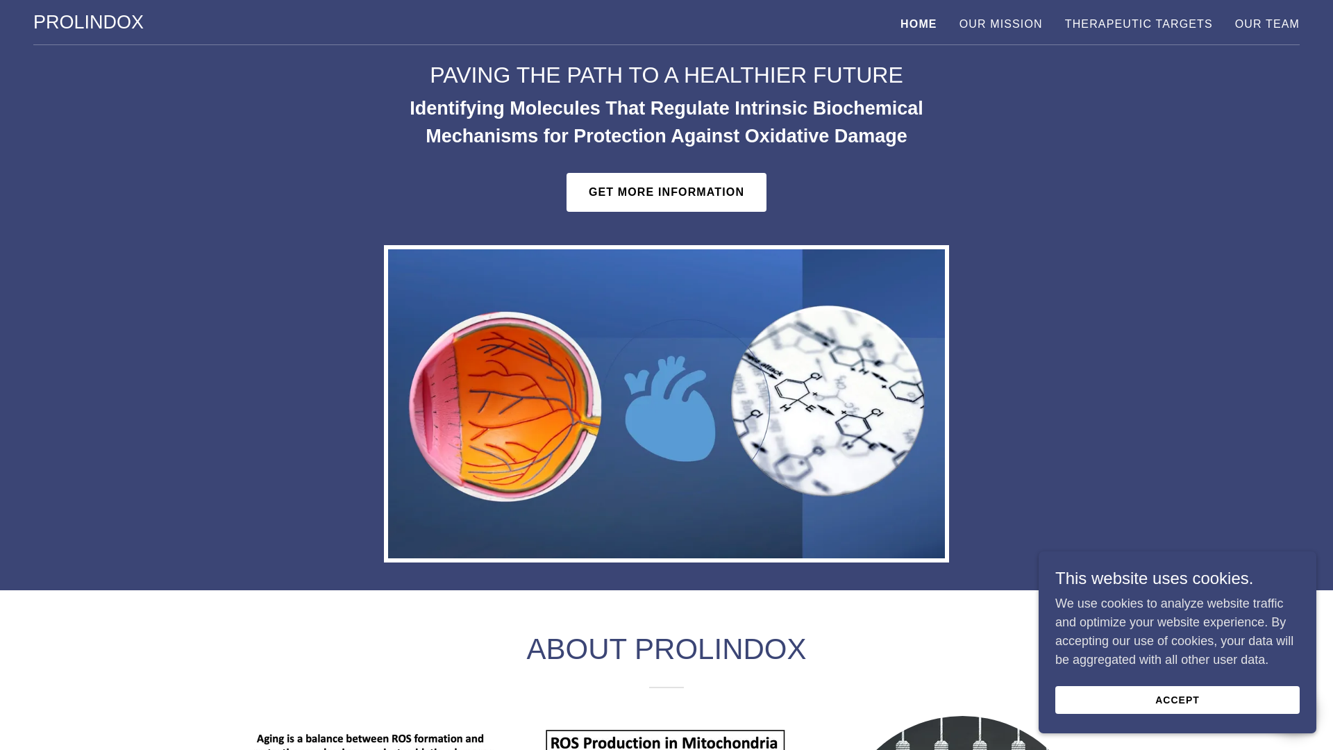 website screenshot of https://prolindox.ai/