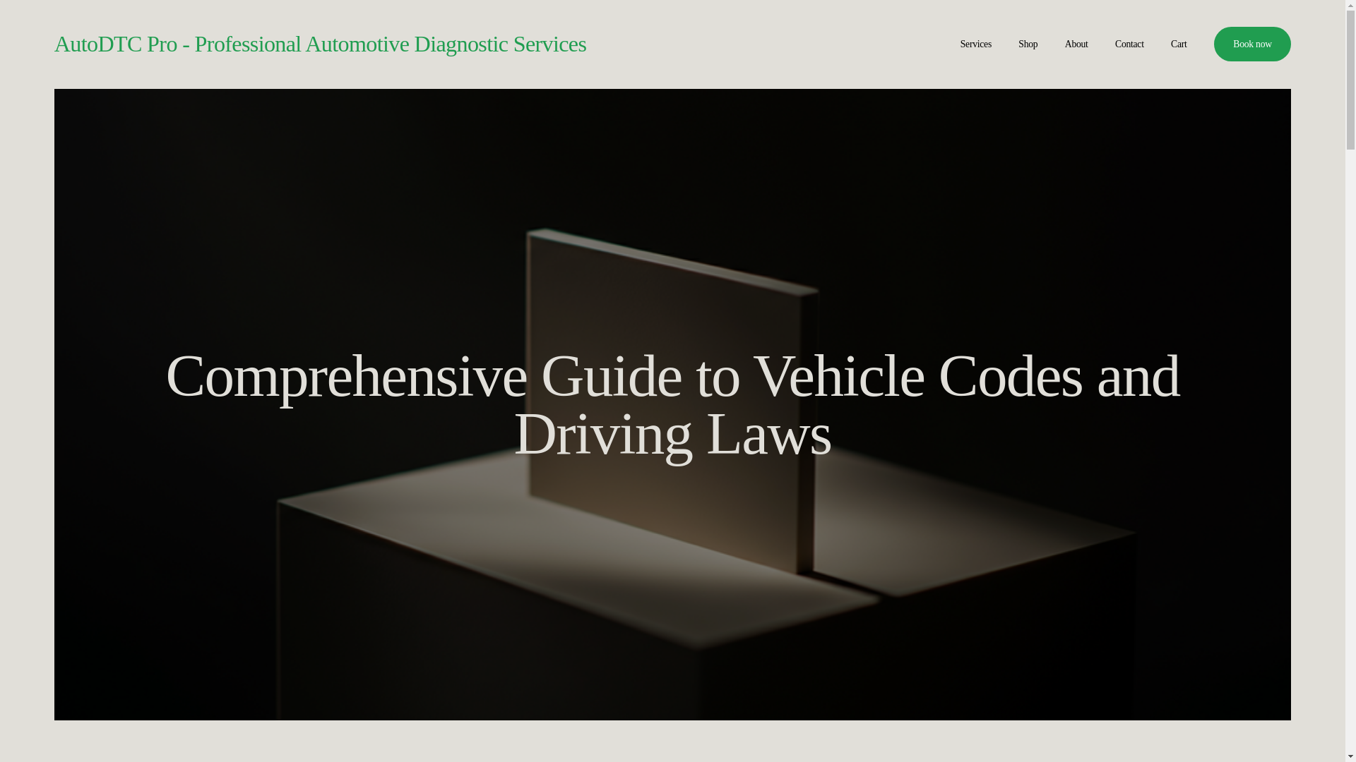 website screenshot of https://uageservice.com/