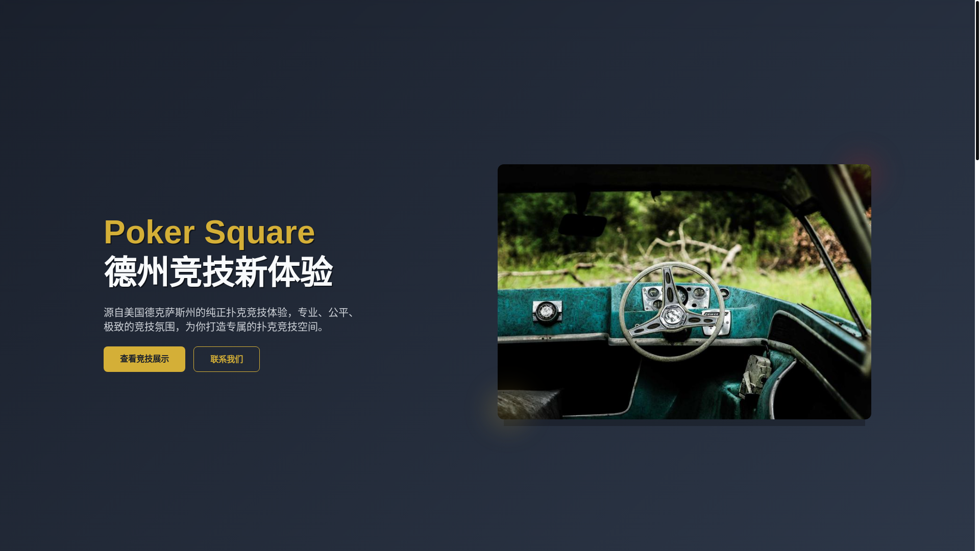 website screenshot of https://mgdzpro.com/