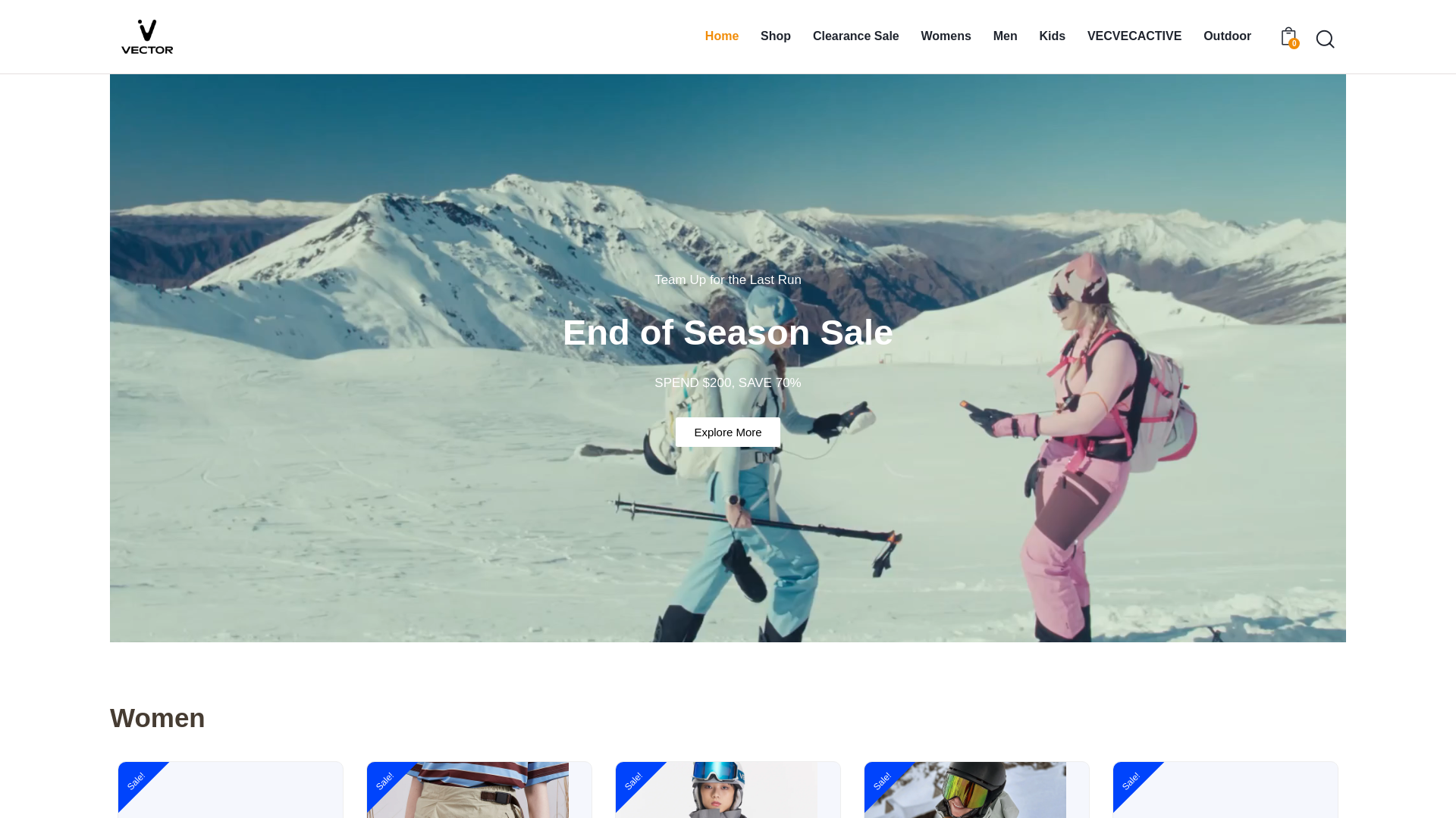website screenshot of https://vectorskis.com