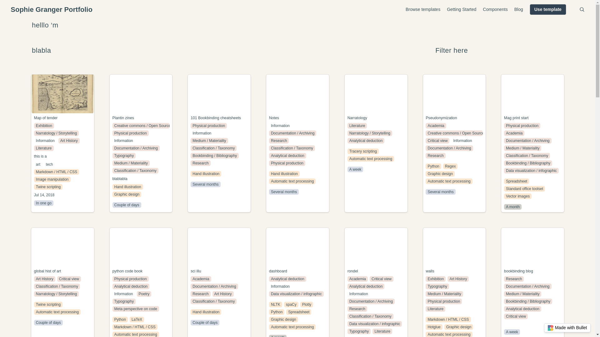 website screenshot of https://sophiegranger-bullet.pages.dev/