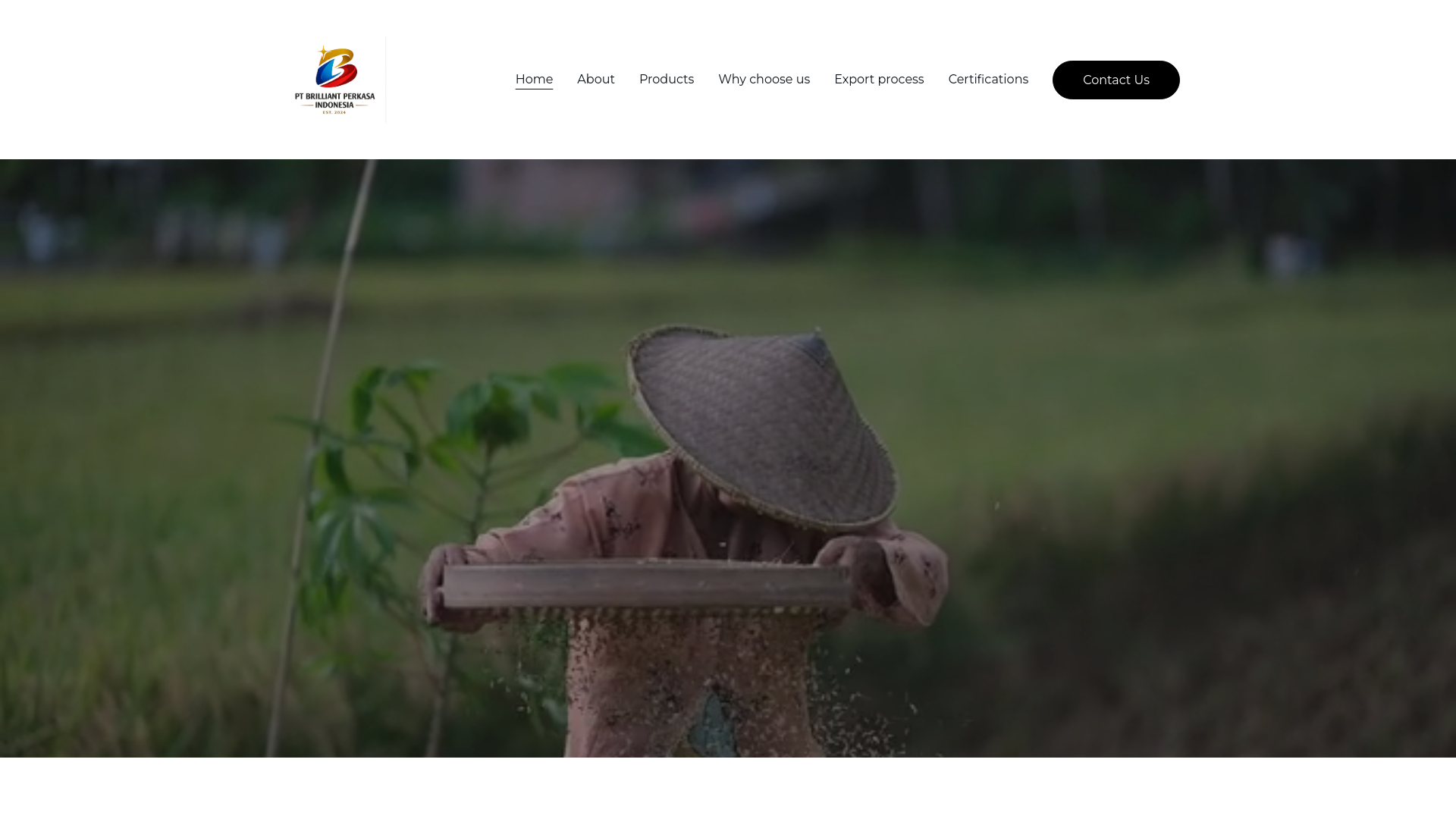 website screenshot of https://briliantperkasaindonesia.com