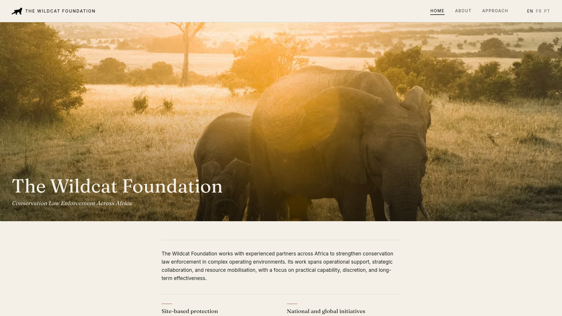 website screenshot of https://wildcat-foundation-preview.pages.dev/