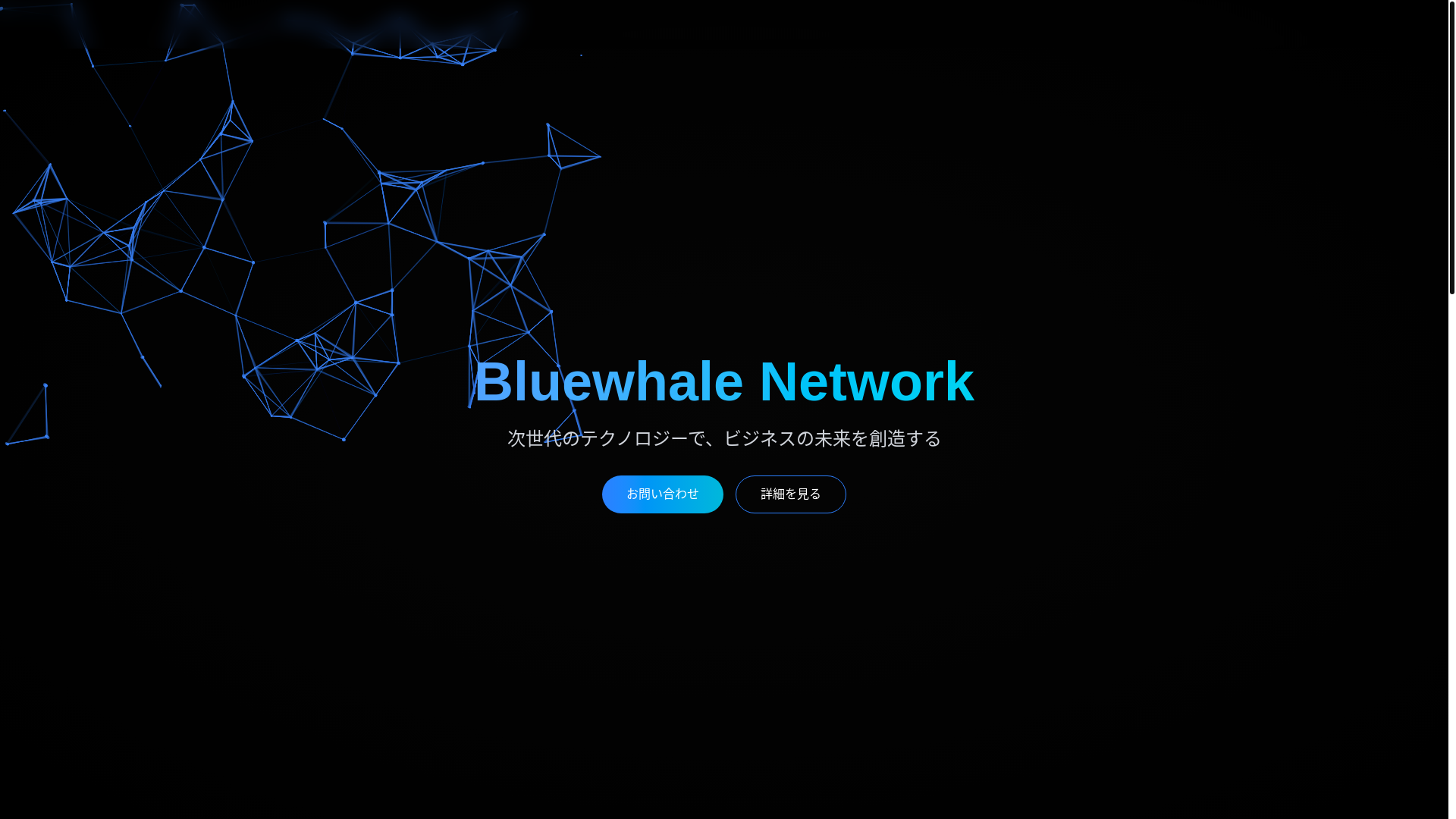 website screenshot of https://bluewhale-network.com/