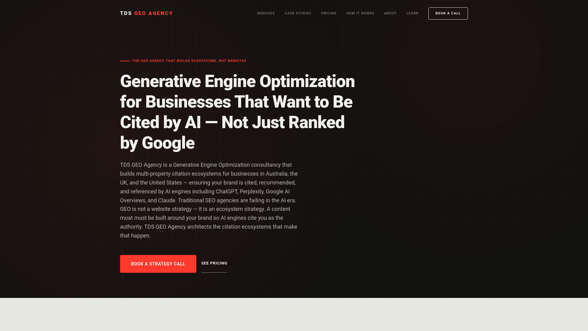 website screenshot of https://tdsgeoagency.one/