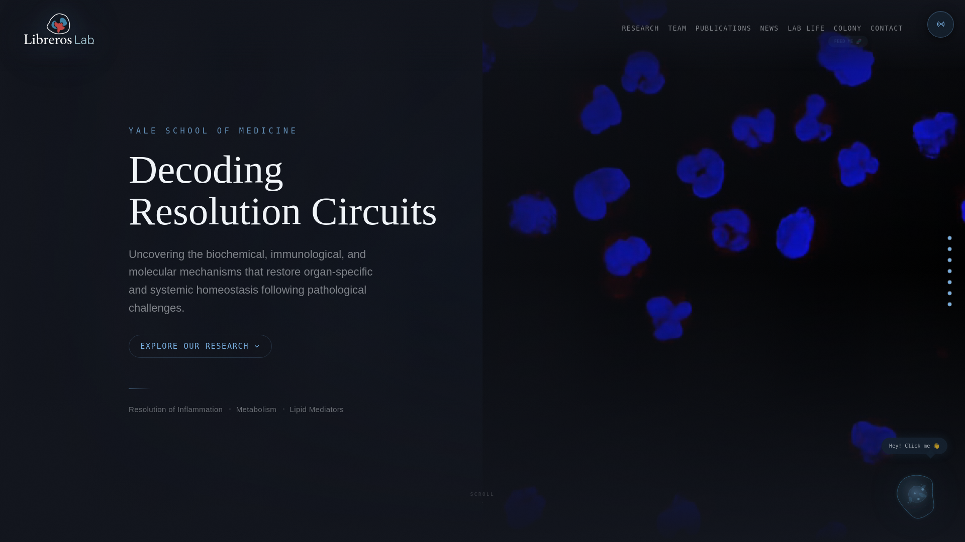 website screenshot of https://libreros-lab.com/