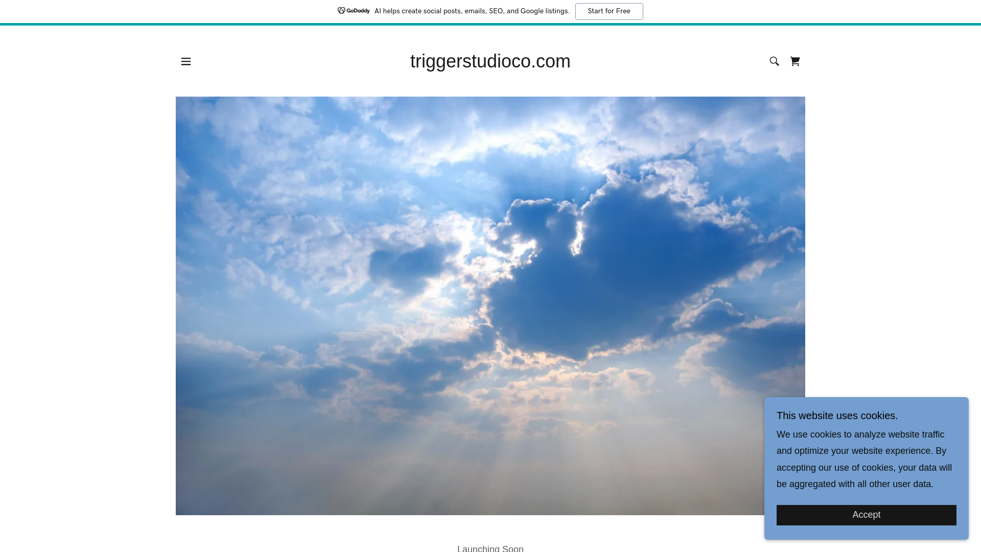 website screenshot of https://triggerstudioco.com/