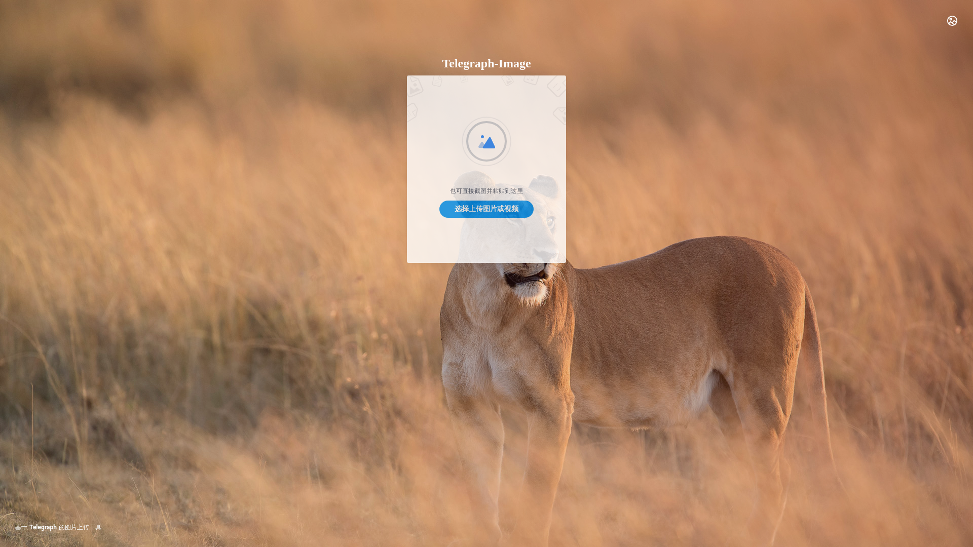 website screenshot of https://telegraph-image-evp.pages.dev/