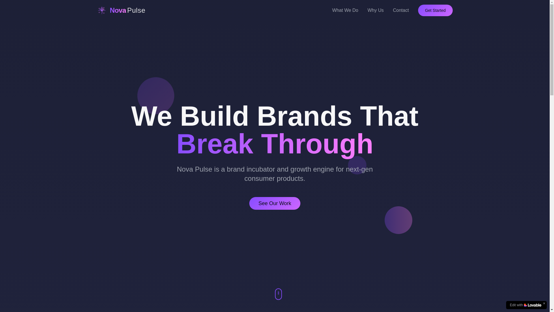 website screenshot of https://novapulsebrands.com/