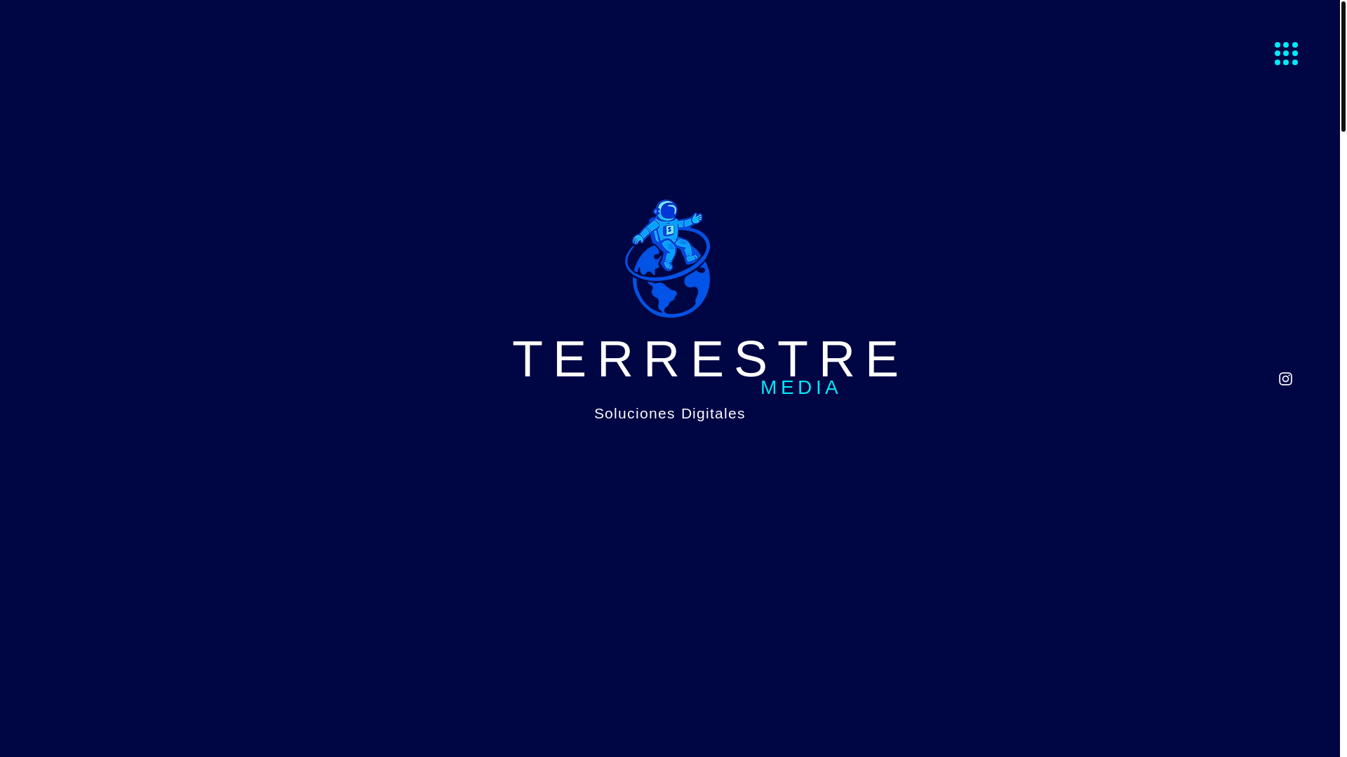 website screenshot of https://terrestremedia.cl/