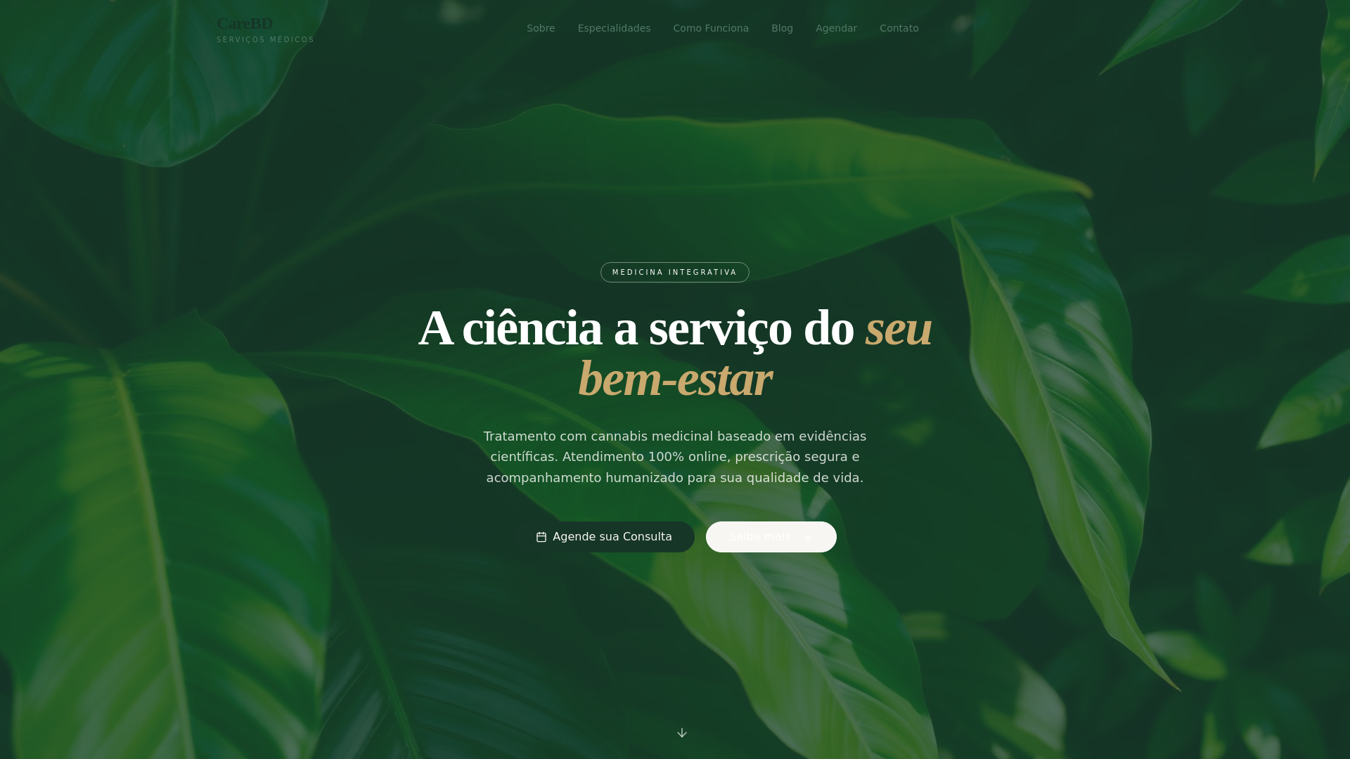 website screenshot of https://carebd.com.br/