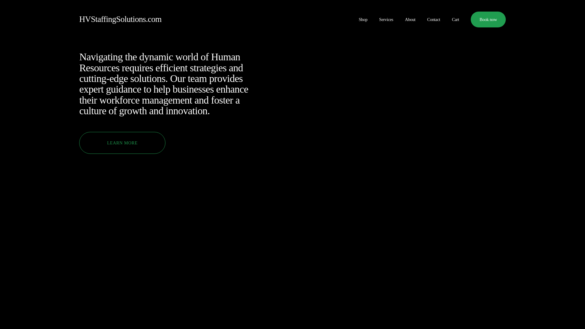 website screenshot of https://hayleyvignolistaffingsolutions.com/