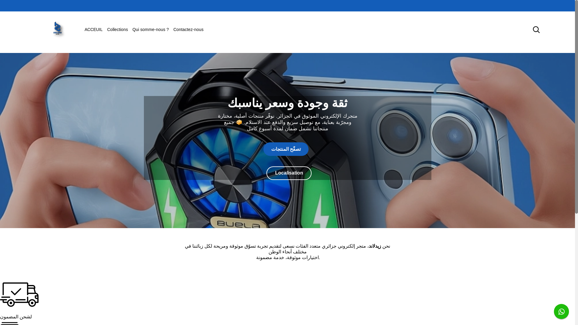 website screenshot of https://zidland.shop/