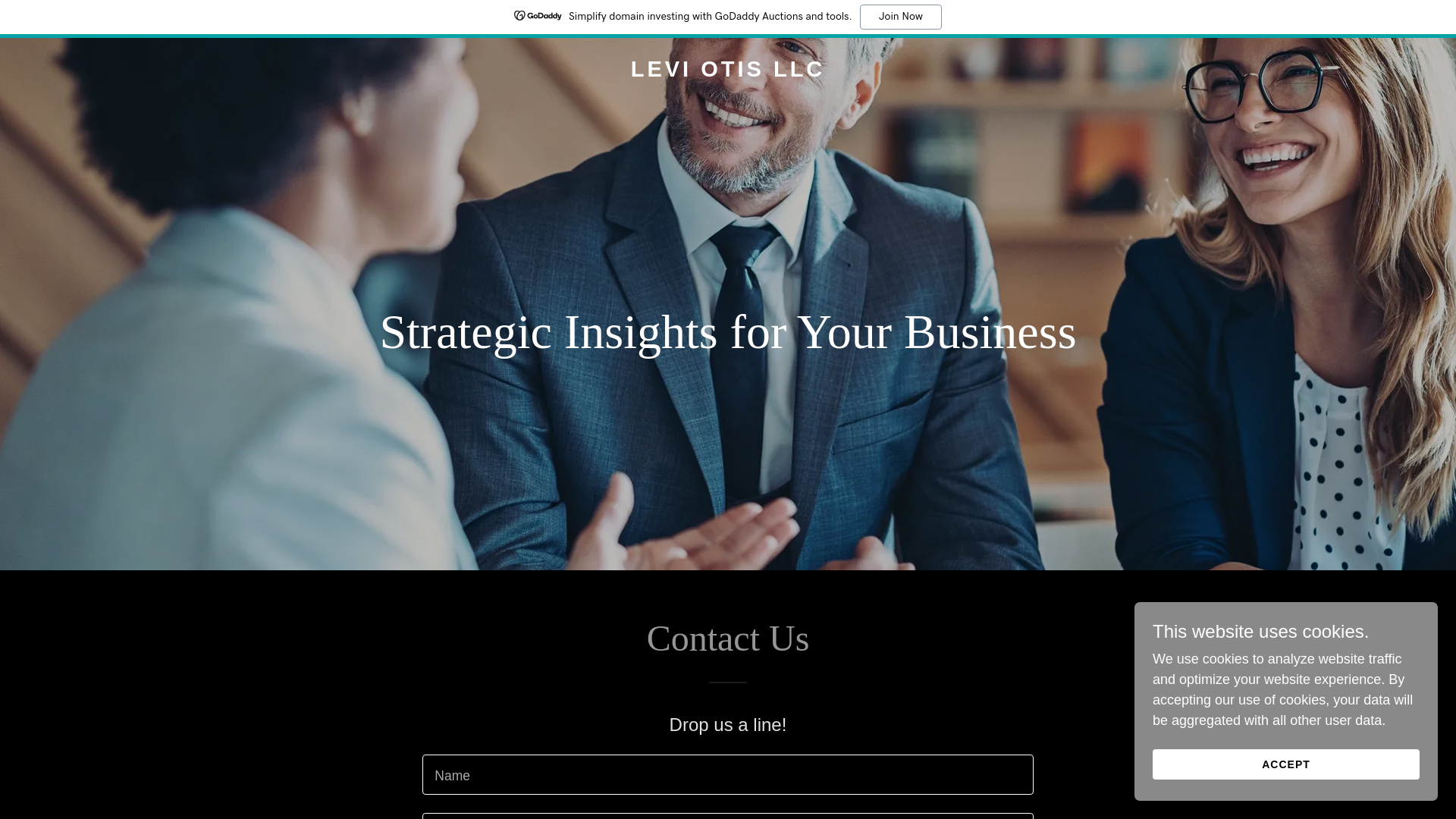 website screenshot of https://leviotis.com/