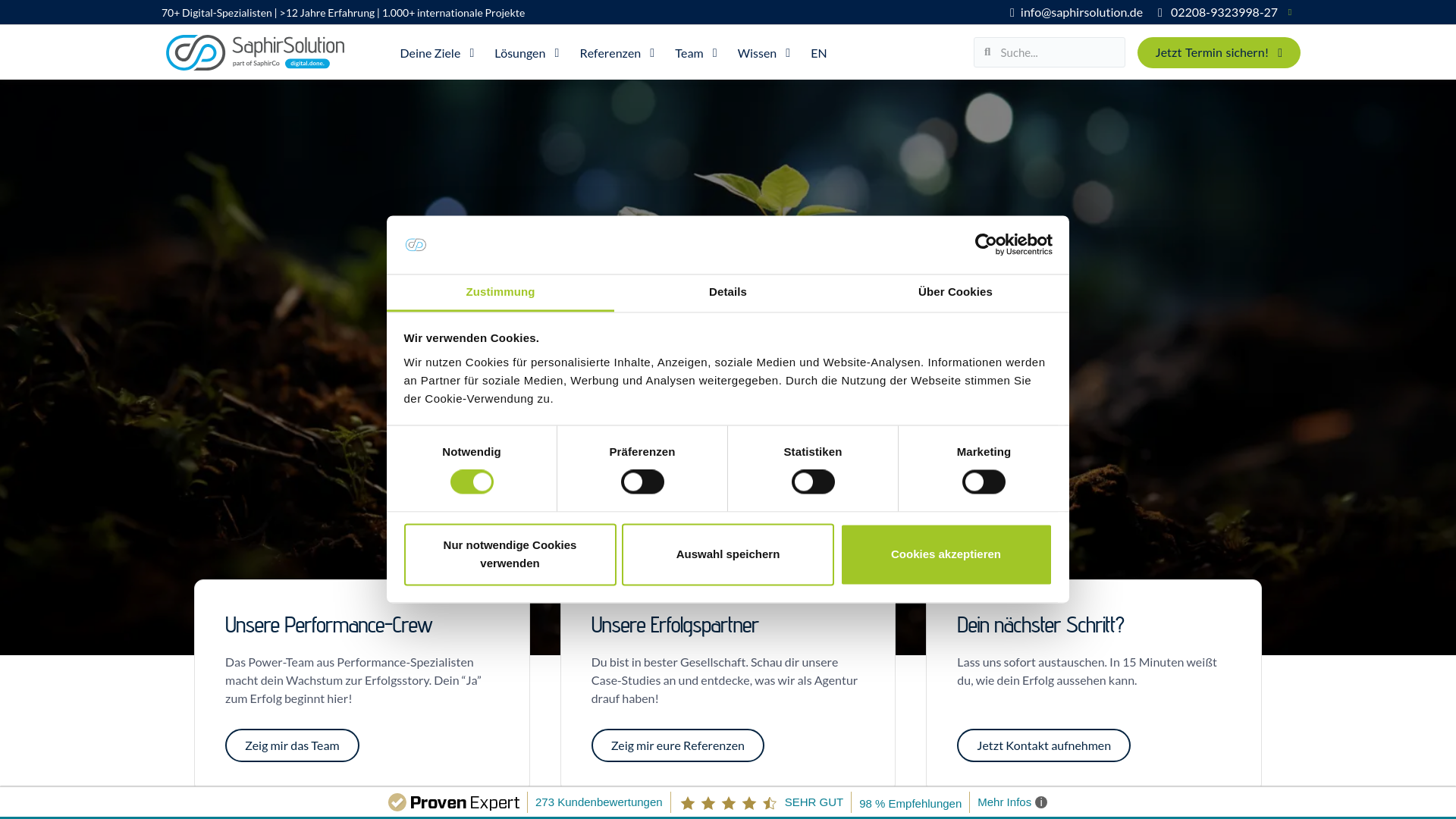 website screenshot of https://globalsaso.com/