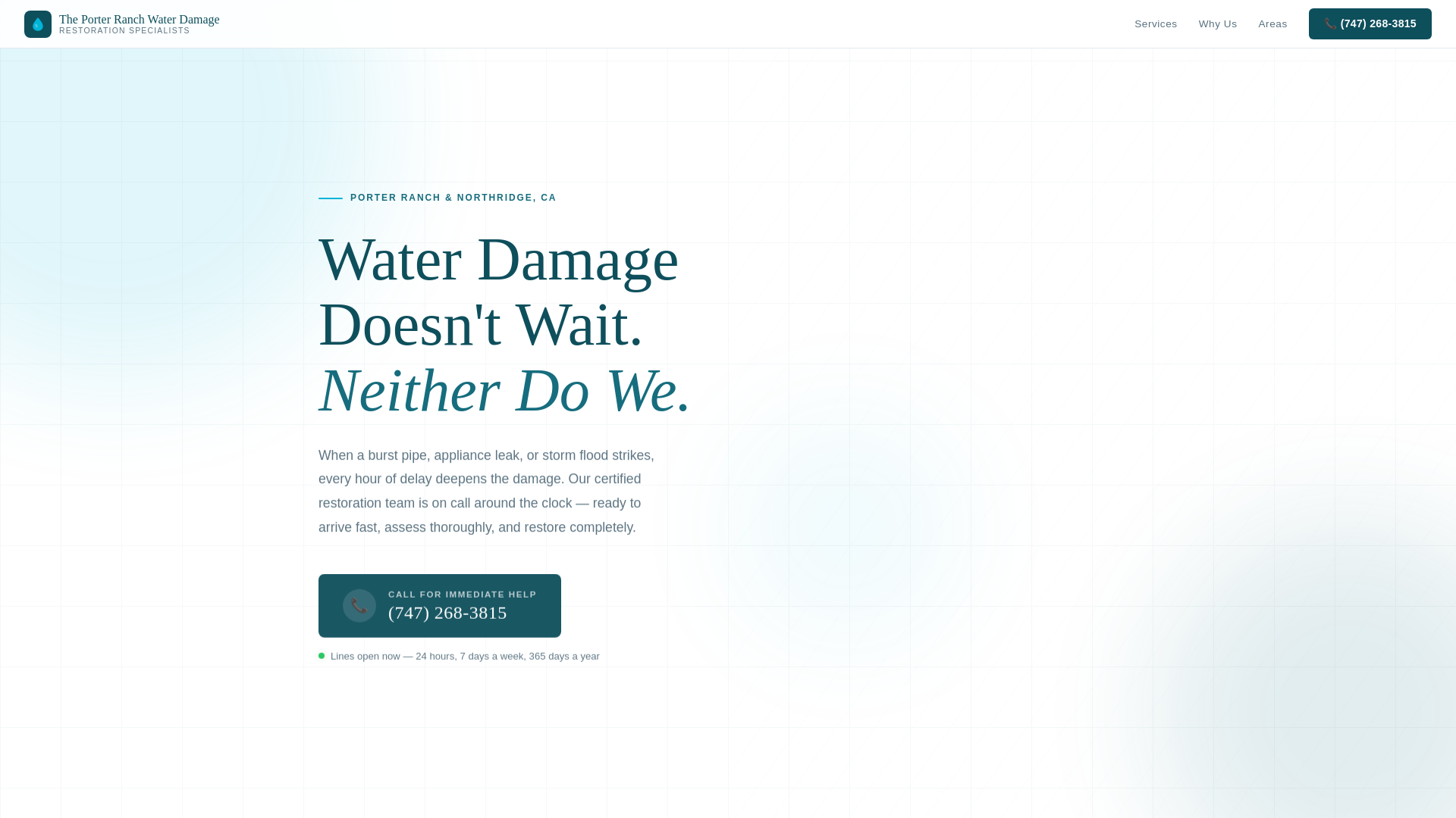 website screenshot of https://theporterranchwaterdamage.com/