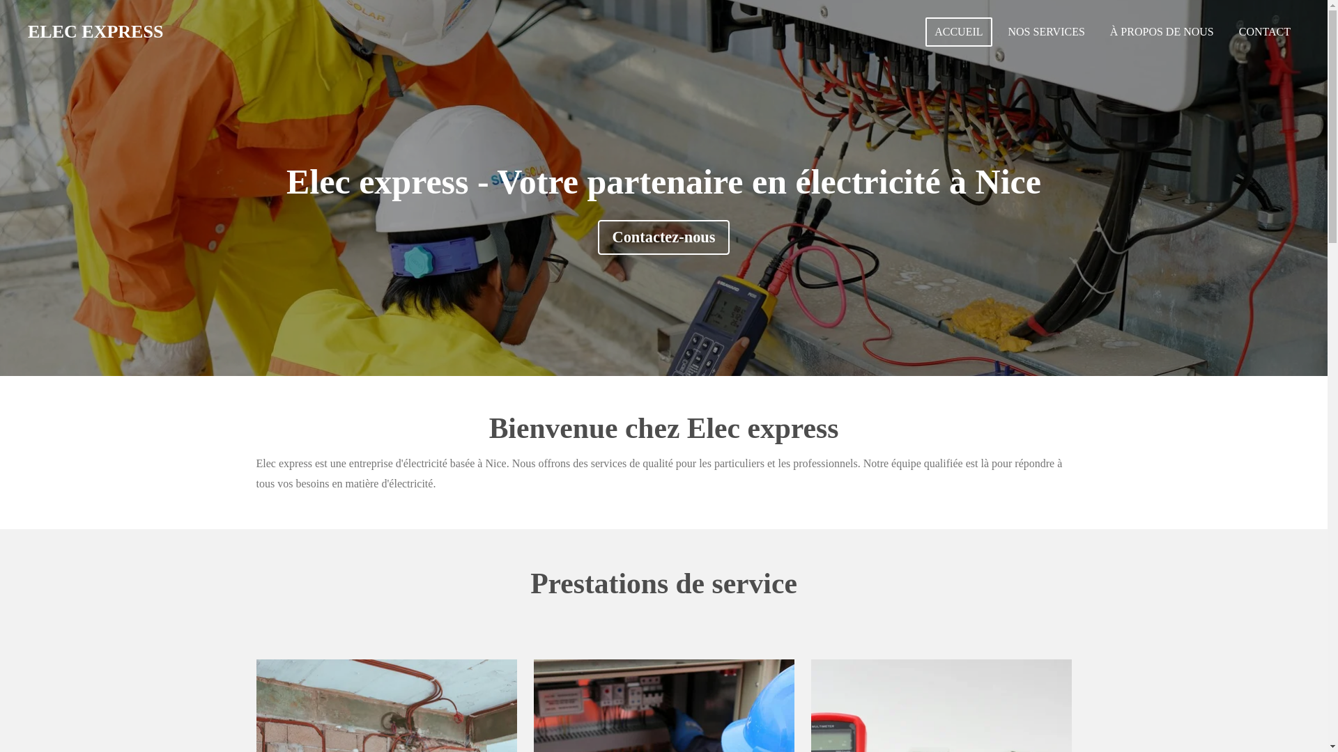 website screenshot of https://elecexpress.eu/