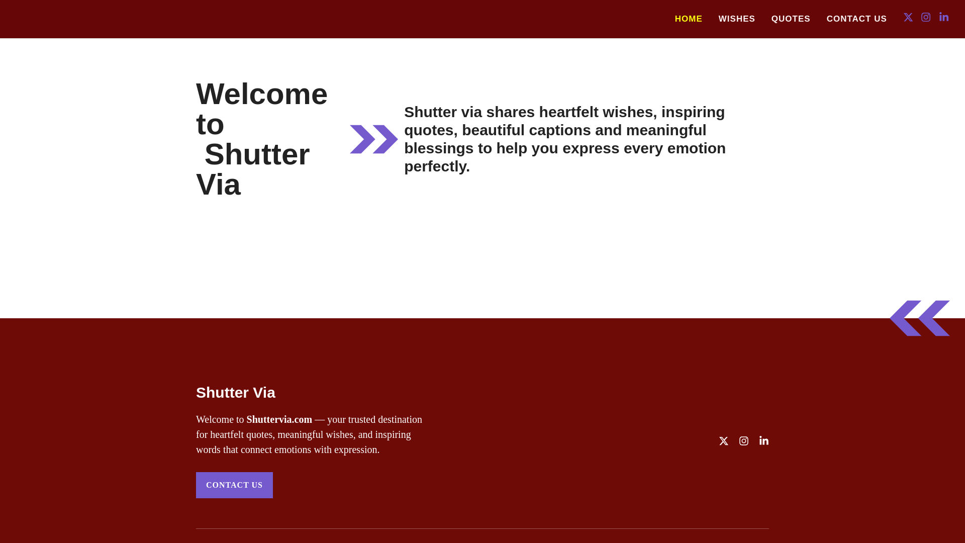 website screenshot of https://shuttervia.com/