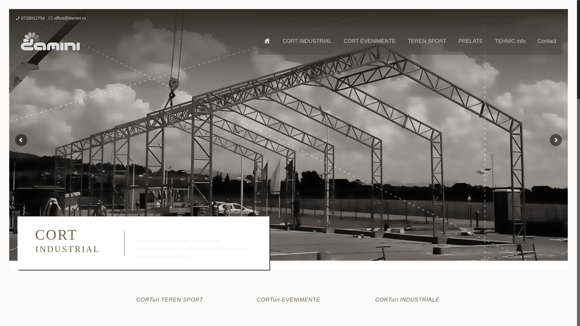 website screenshot of https://damini.ro/