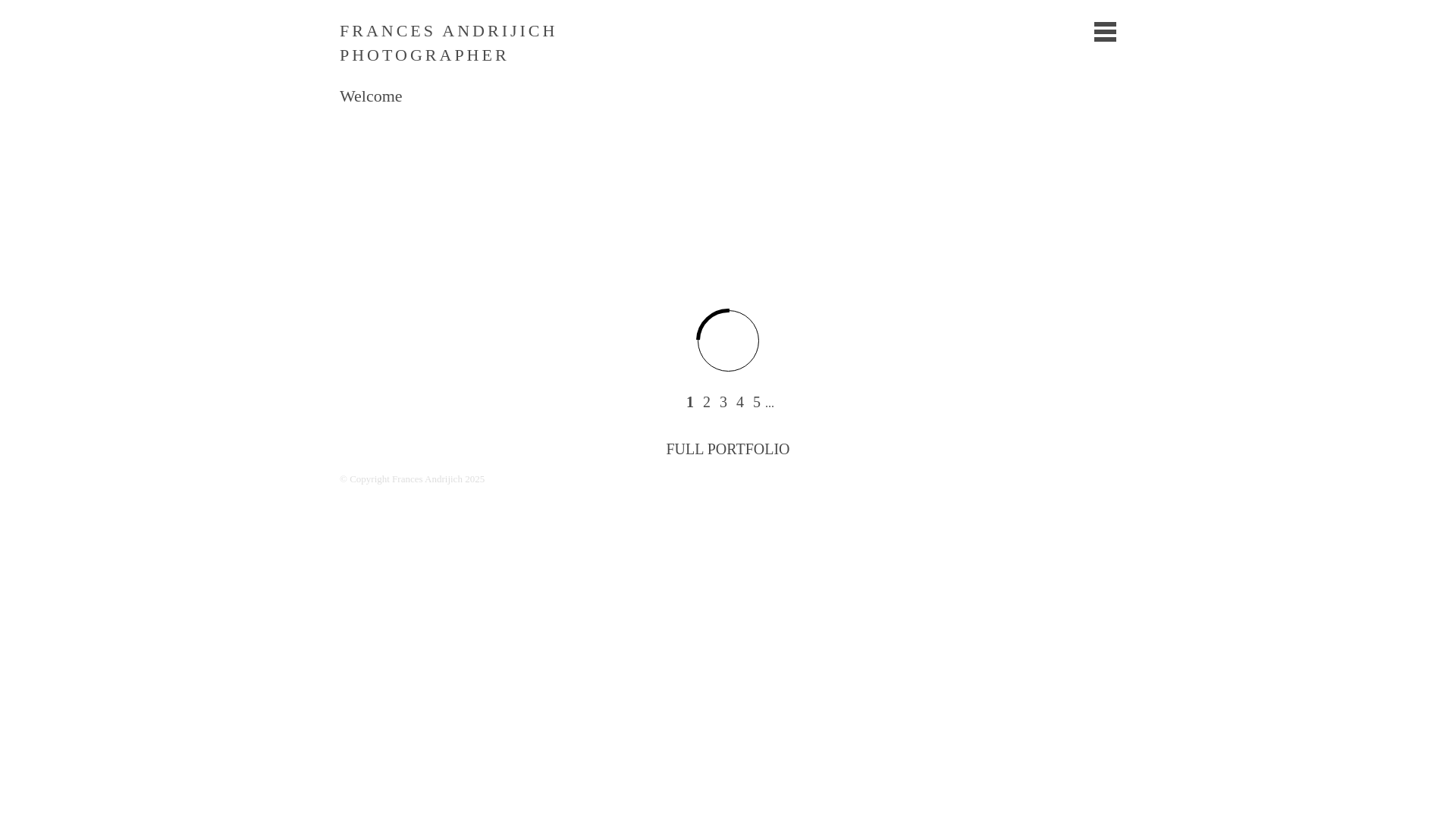website screenshot of https://andrijich.online/