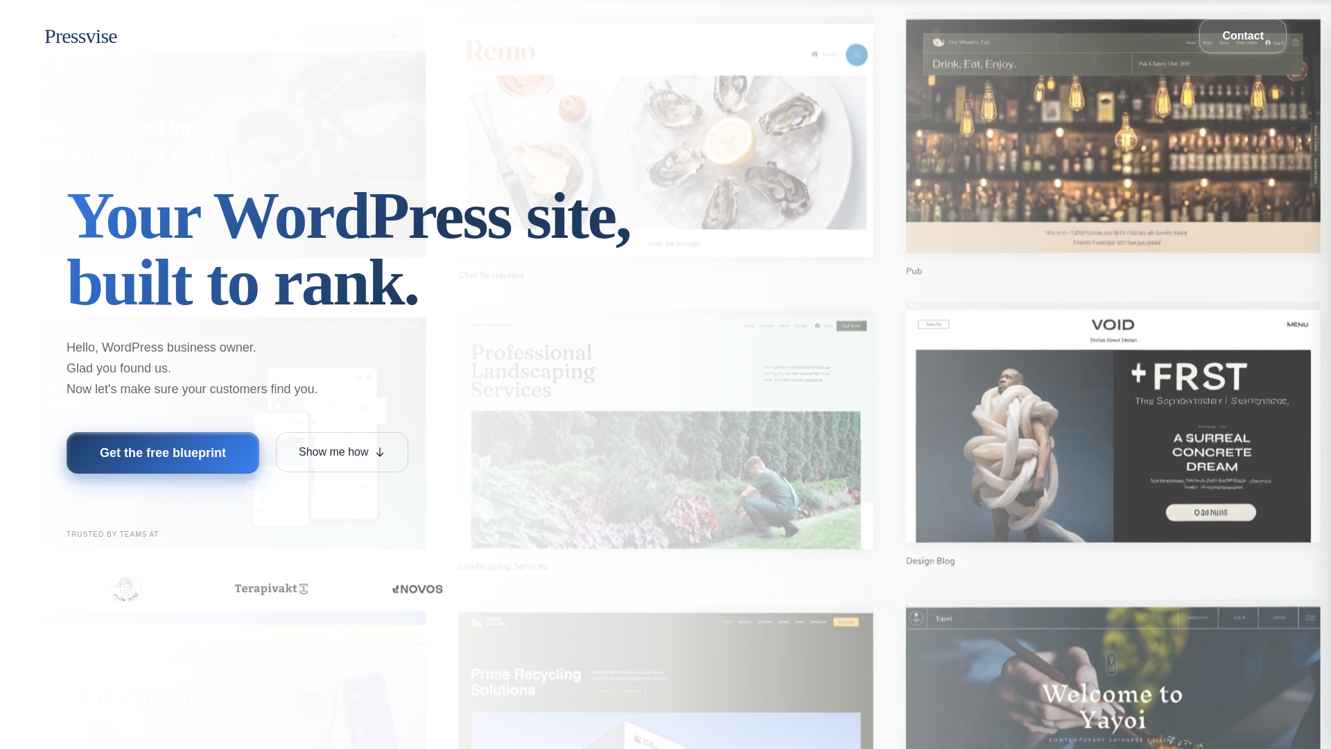 website screenshot of https://pressvise.com/