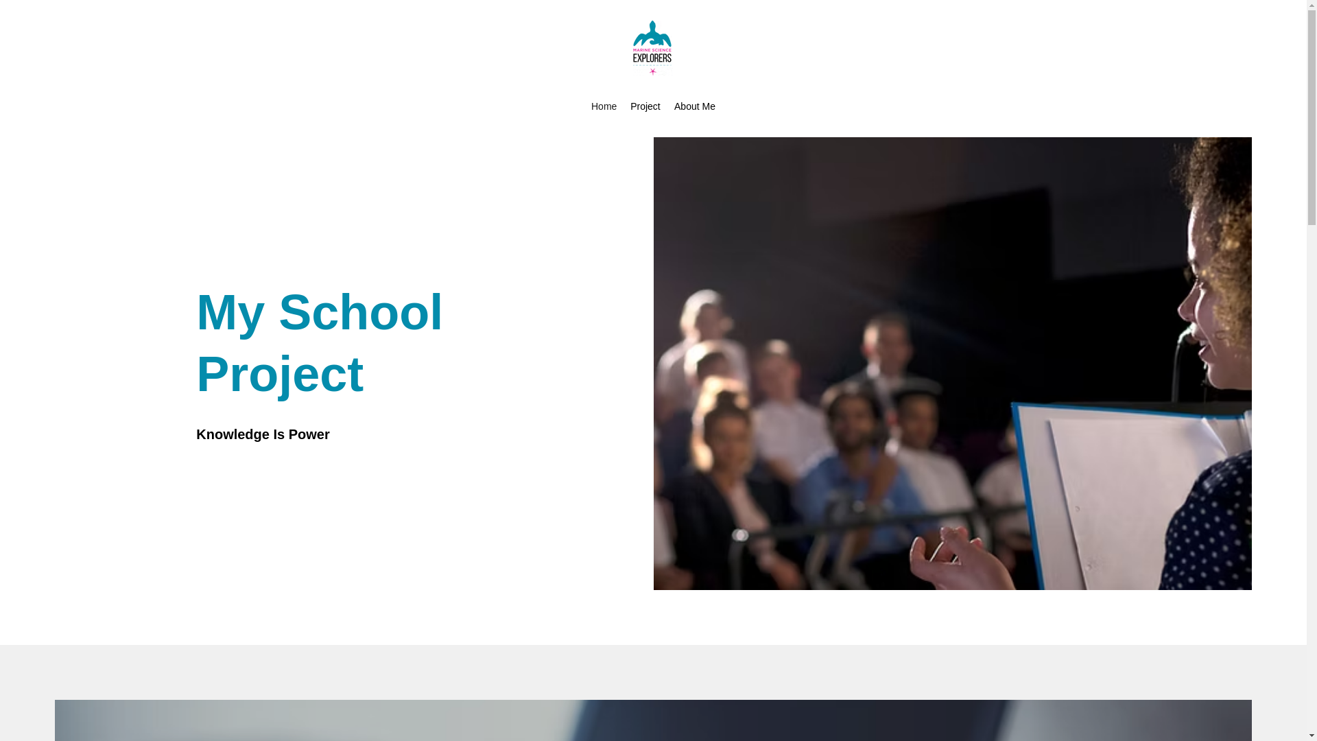 website screenshot of https://amusingmermaids.com/