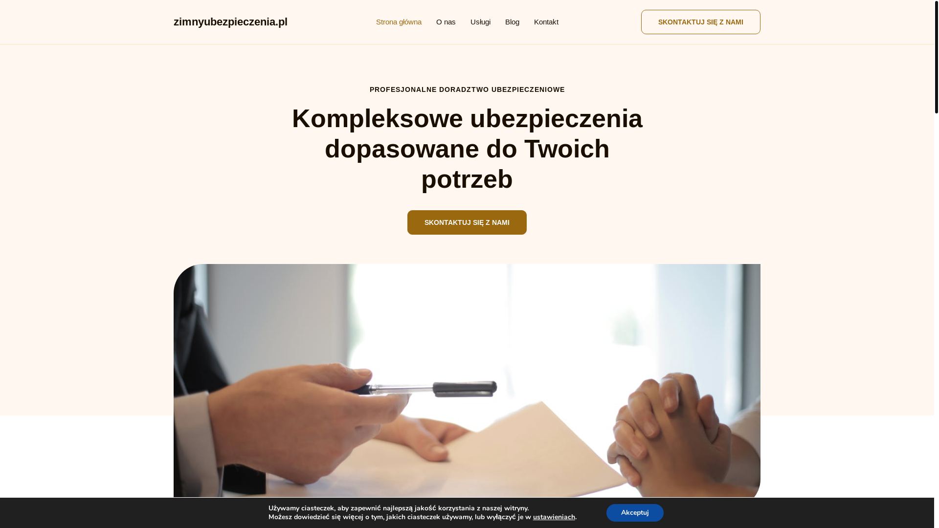 website screenshot of https://zimnyubezpieczenia.pl/