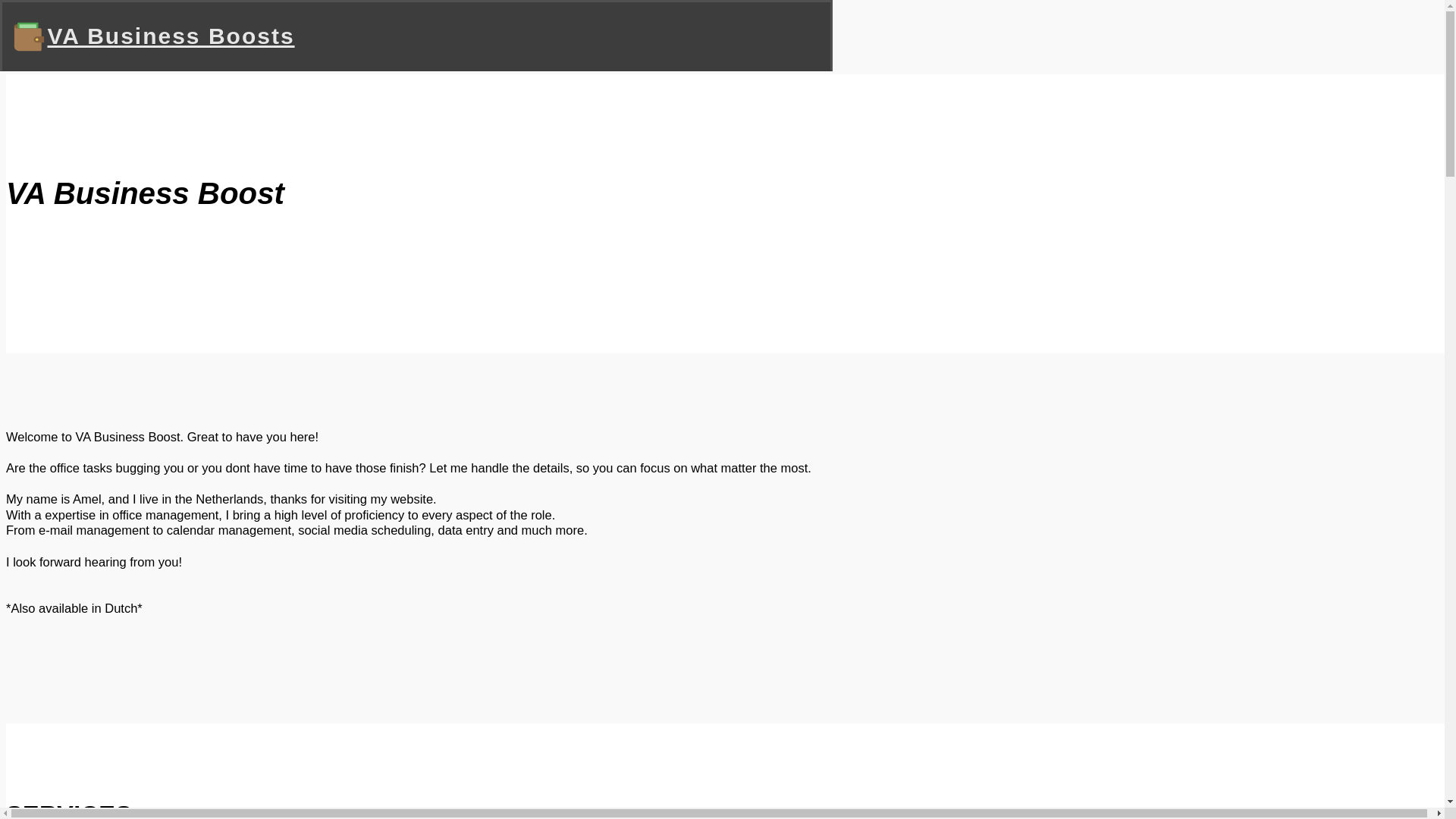 website screenshot of https://vabusinessboosts.com/